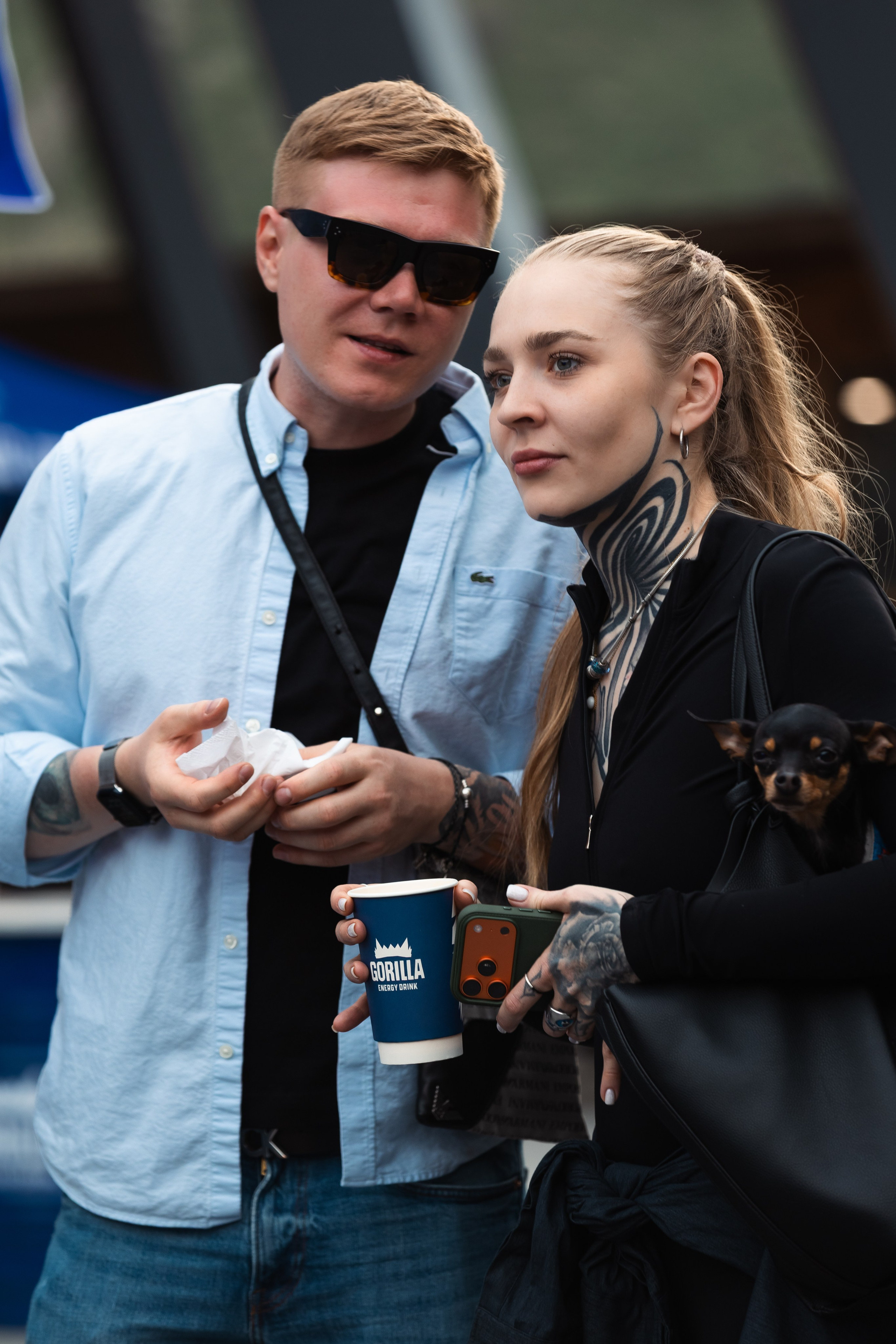 GORILLA GROOVE STAGE IMBA CAMP 5. Gorillaenergymedia