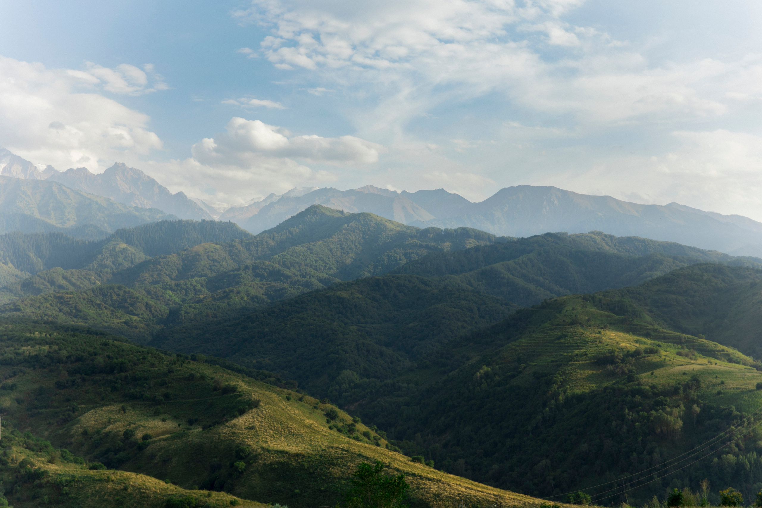 Саша и Настя. Свадебный и семейный фотограф в Новокузнецке Кемерово Новосибирске Богульская Ульяна