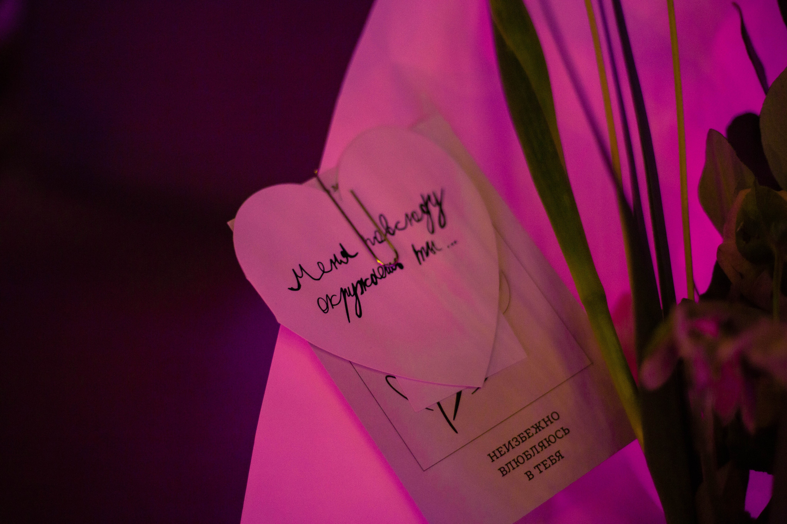 МЕНЯ ПОВСЮДУ ОКРУЖАЕШЬ ТЫ