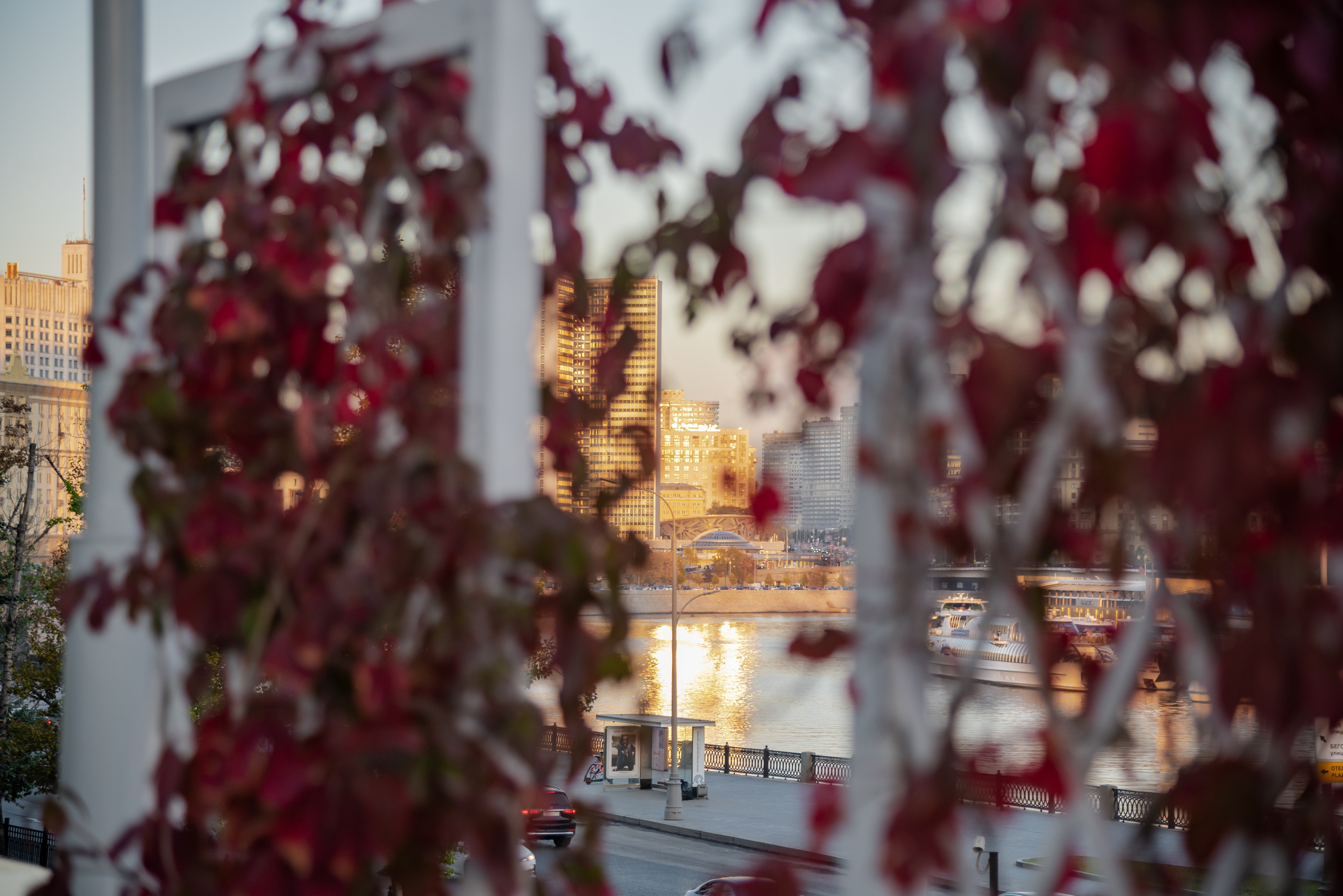 Москва. Фотограф Галина Нестерова