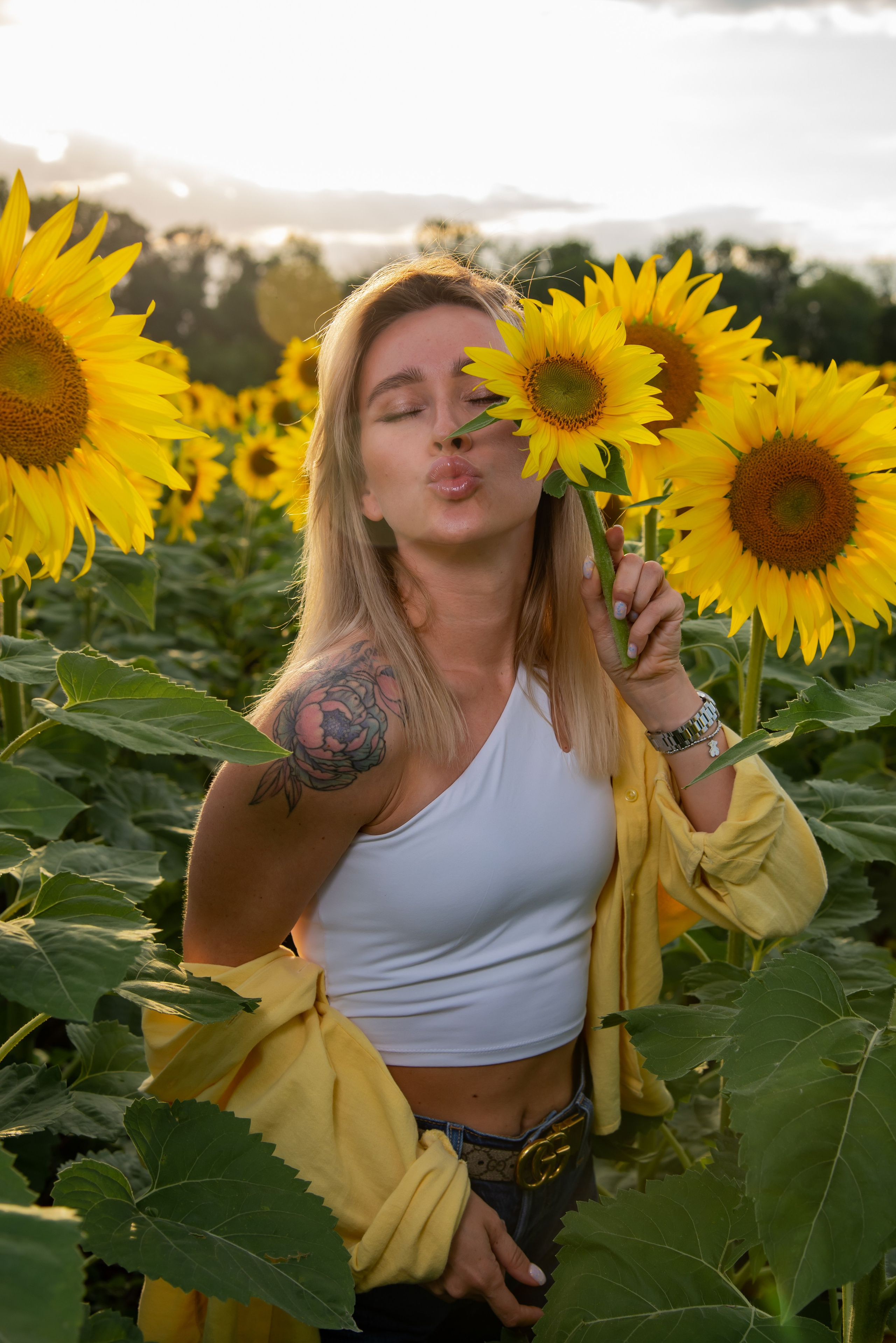 Подсолнух. Фотограф Галина Нестерова