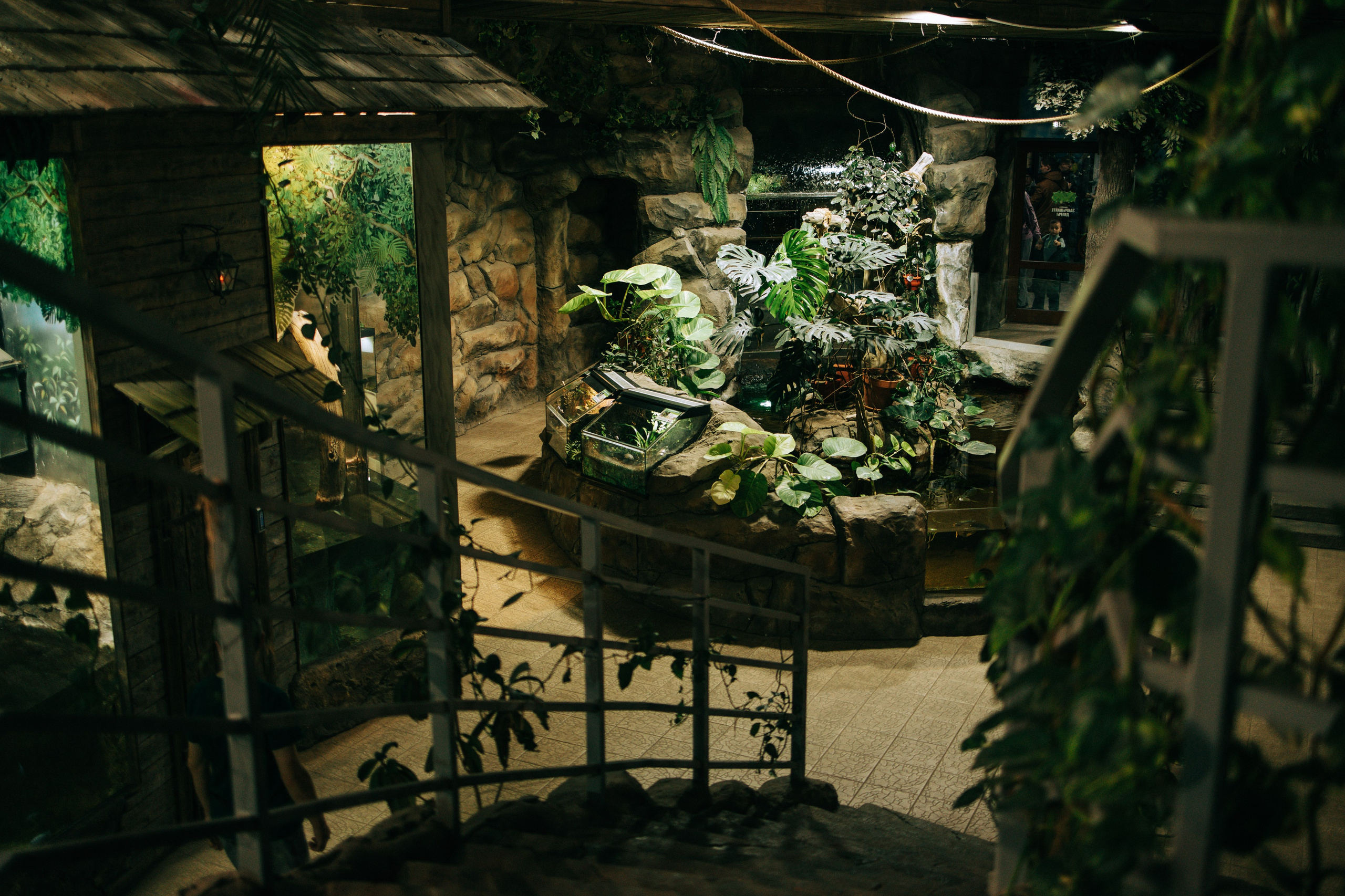 Осень, парк, экзотариум. Свадебный и семейный фотограф в Туле и области Маша Костина