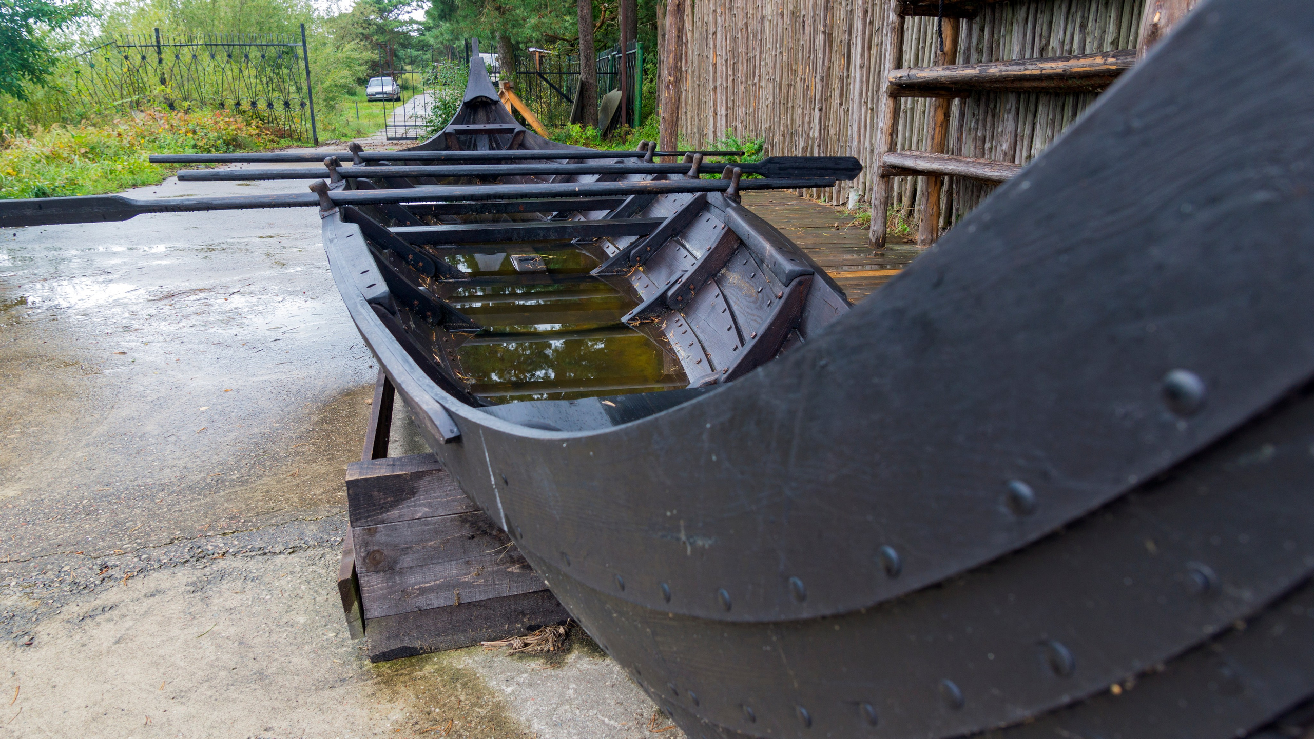Куршская коса. Фотограф-путешественник Самойлов Максим «Sly Fox»