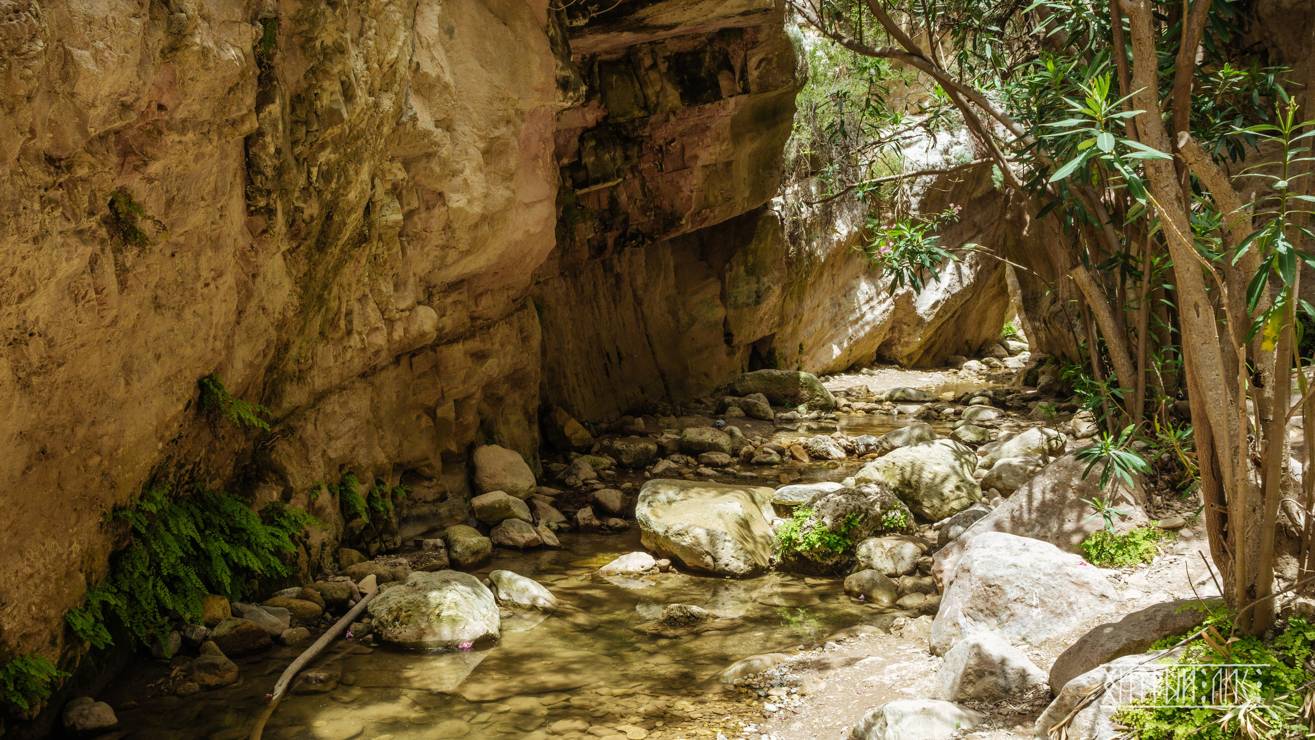 Кипр. Фотограф-путешественник Самойлов Максим «Sly Fox»