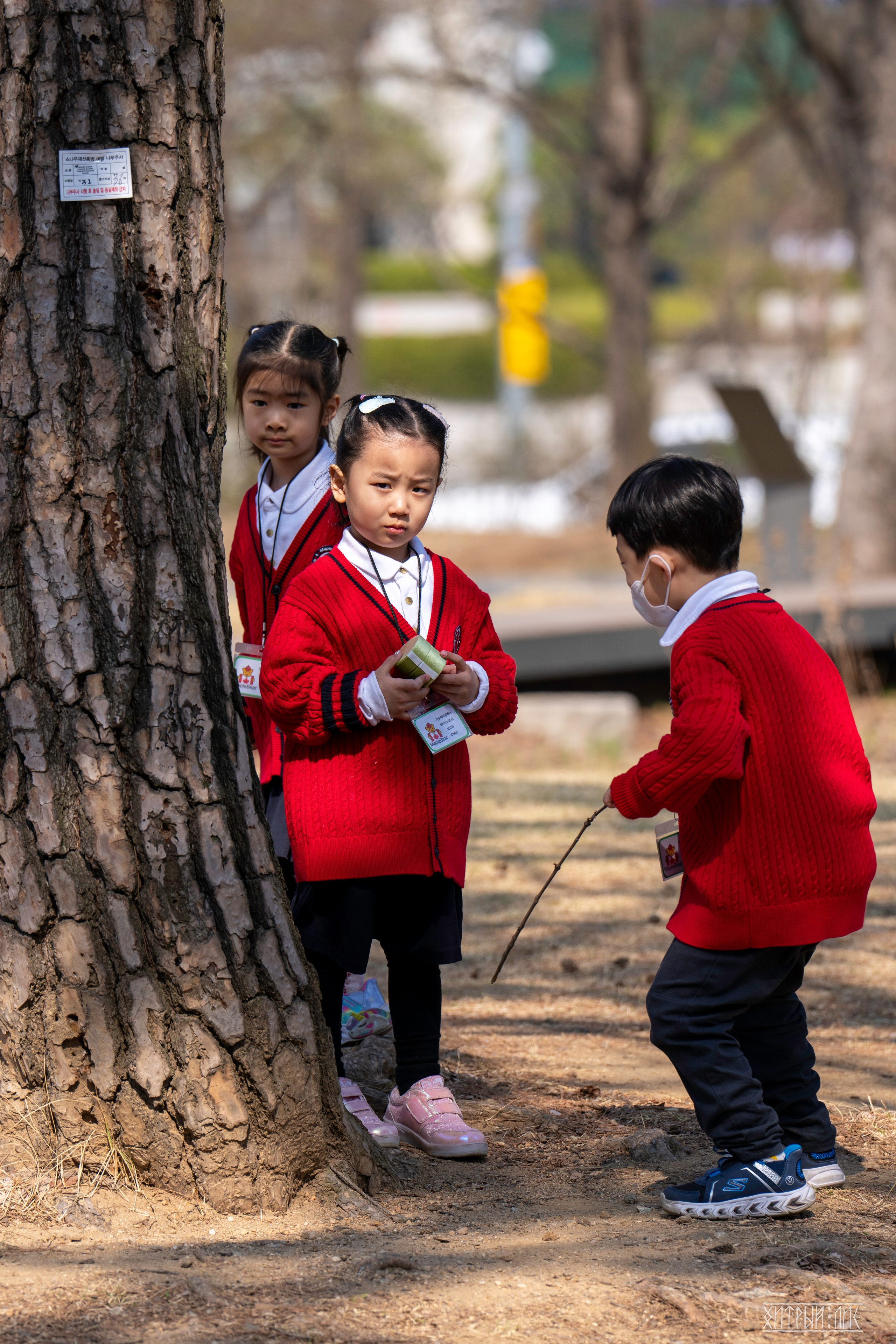 Южная Корея. Фотограф-путешественник Самойлов Максим «Sly Fox»