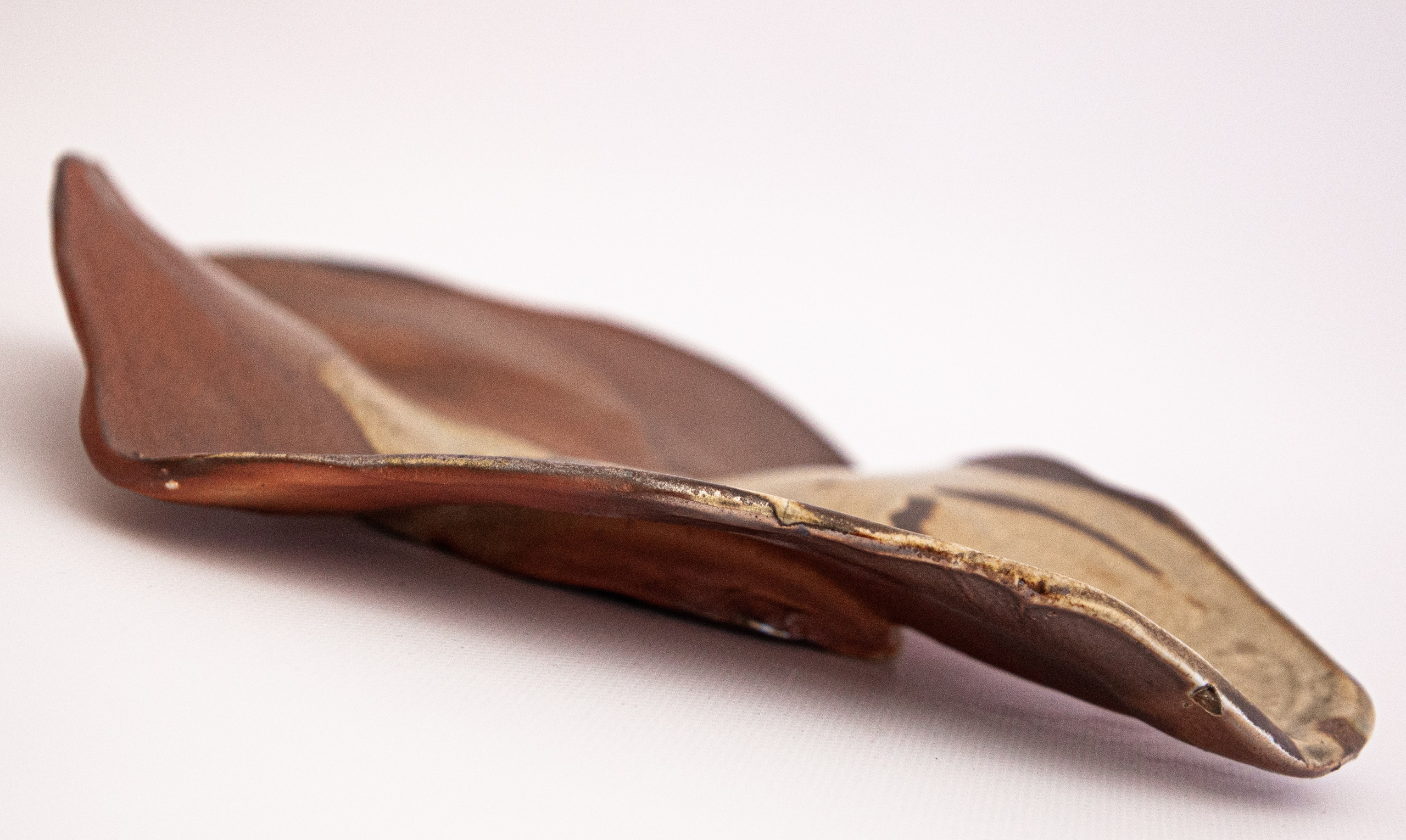 — Керамика для Екатерины. Фотограф | Москва