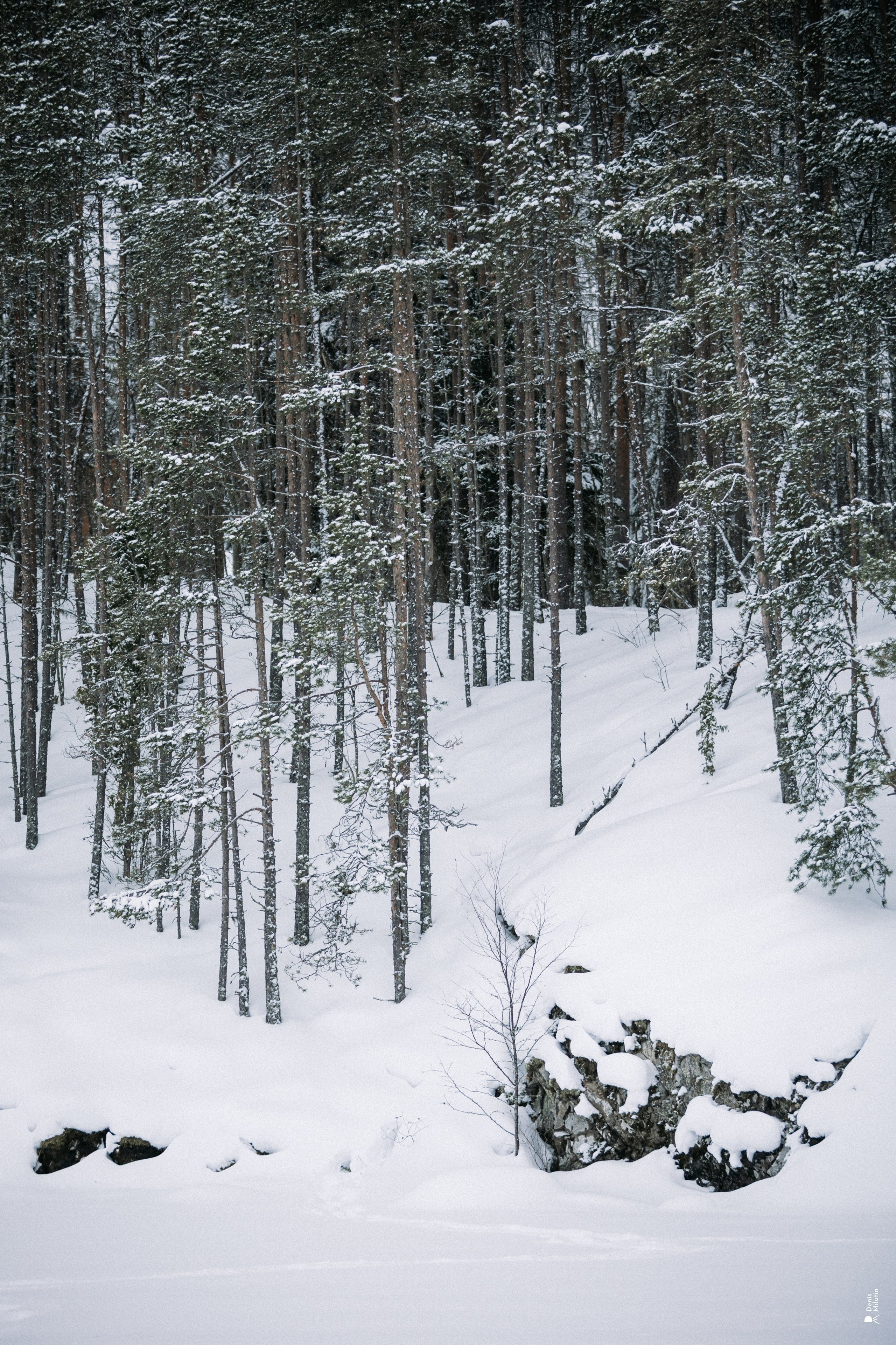 Прогулка по озеру. Портретный фотограф Денис Милютин