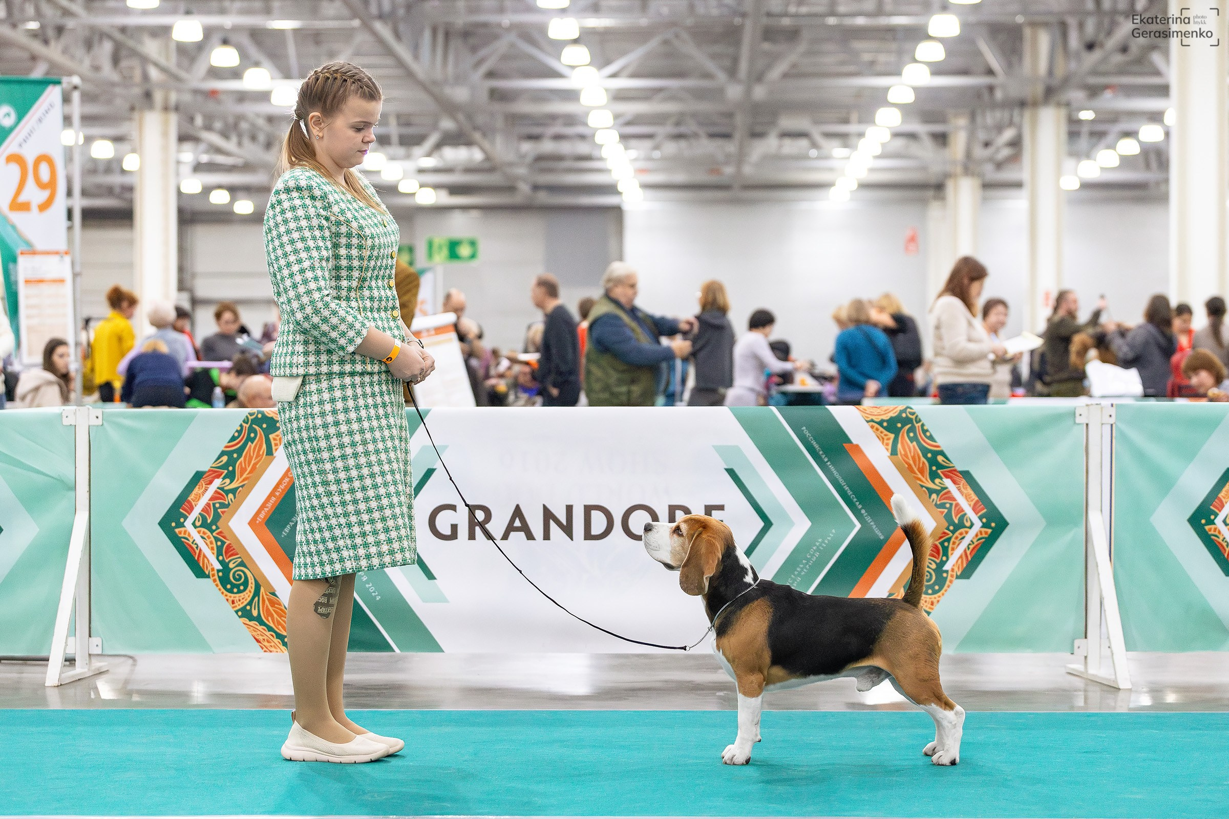 16–17 ноября 2024, Выставка ЕВРАЗИЯ, г. Москва. Htykk_photo