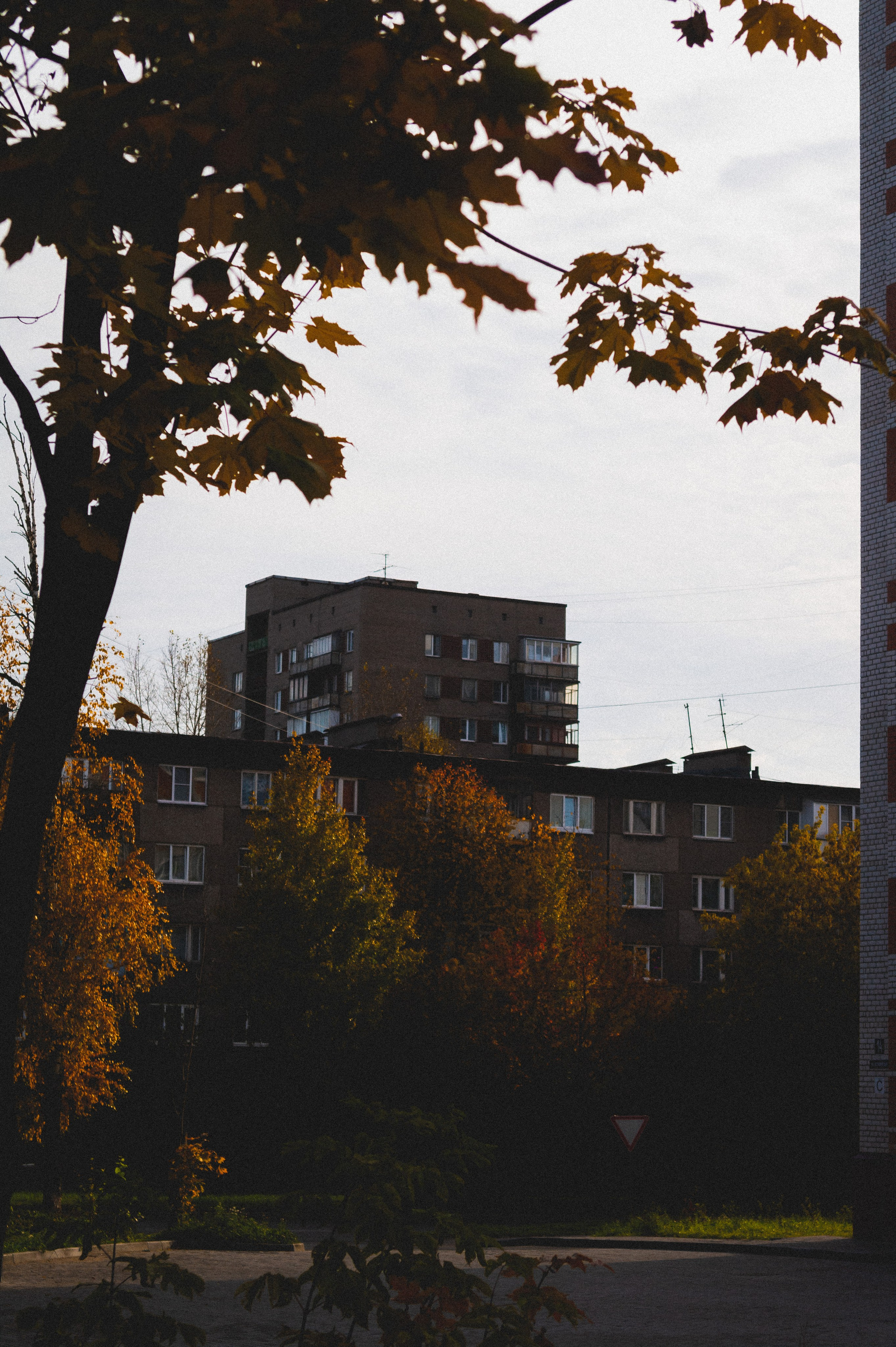 Октябрь 2025. Den Mirov — Фотограф, Музыкант