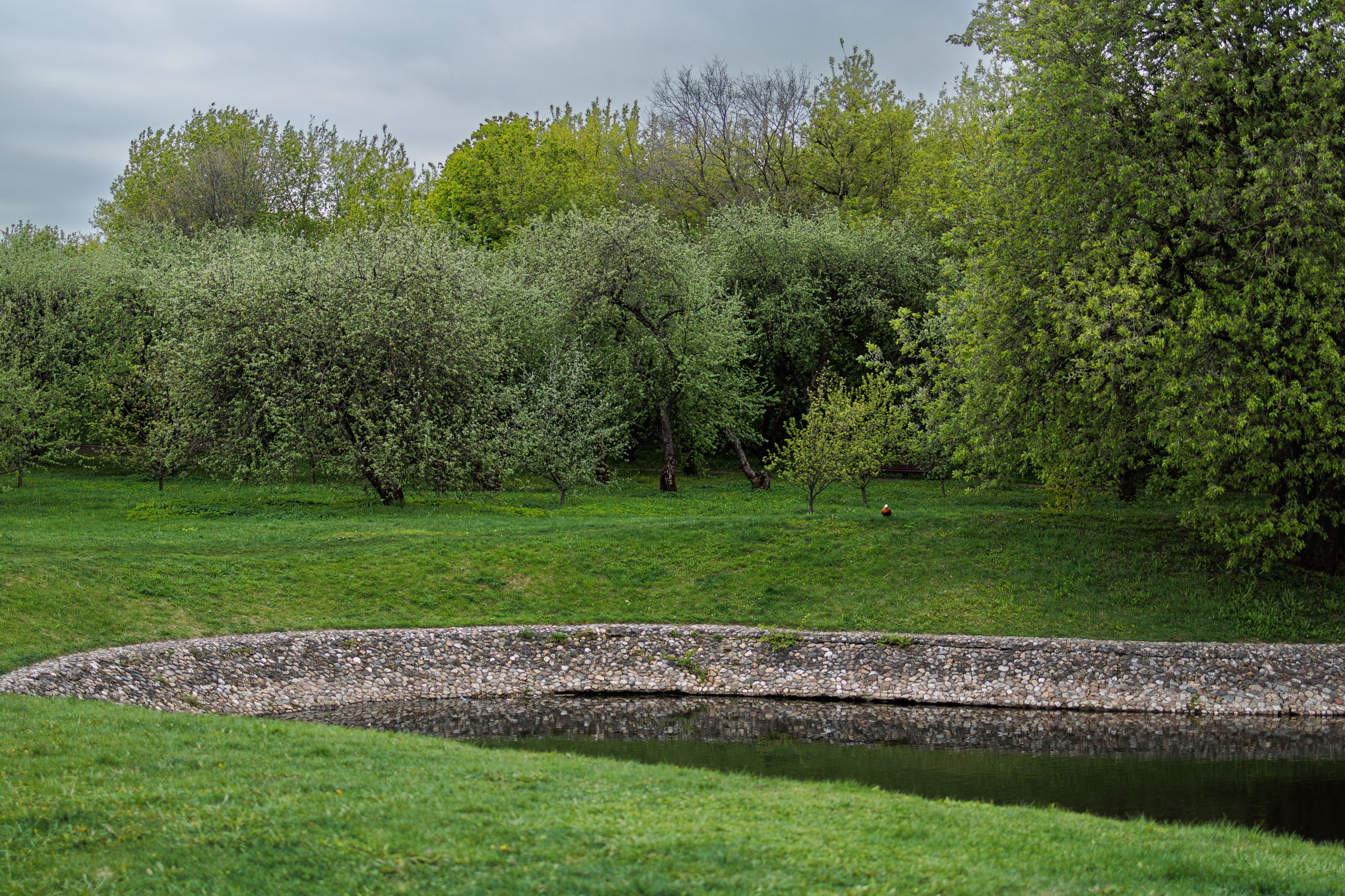 Фотоальбом с красивыми девушками (Часть 8)