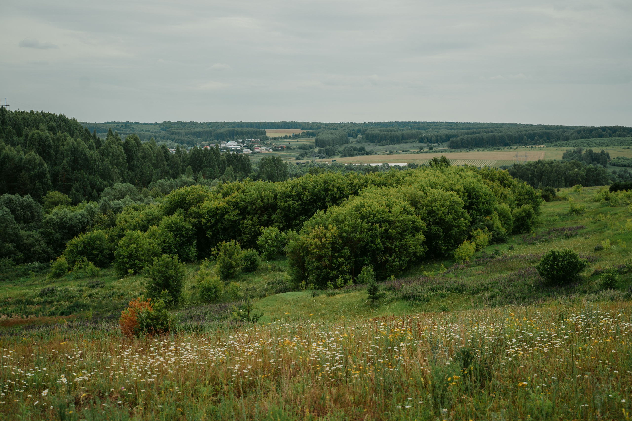 Гектария. Встреча лидеров мнений / 2023. Саша Копылов, фотограф в Казани