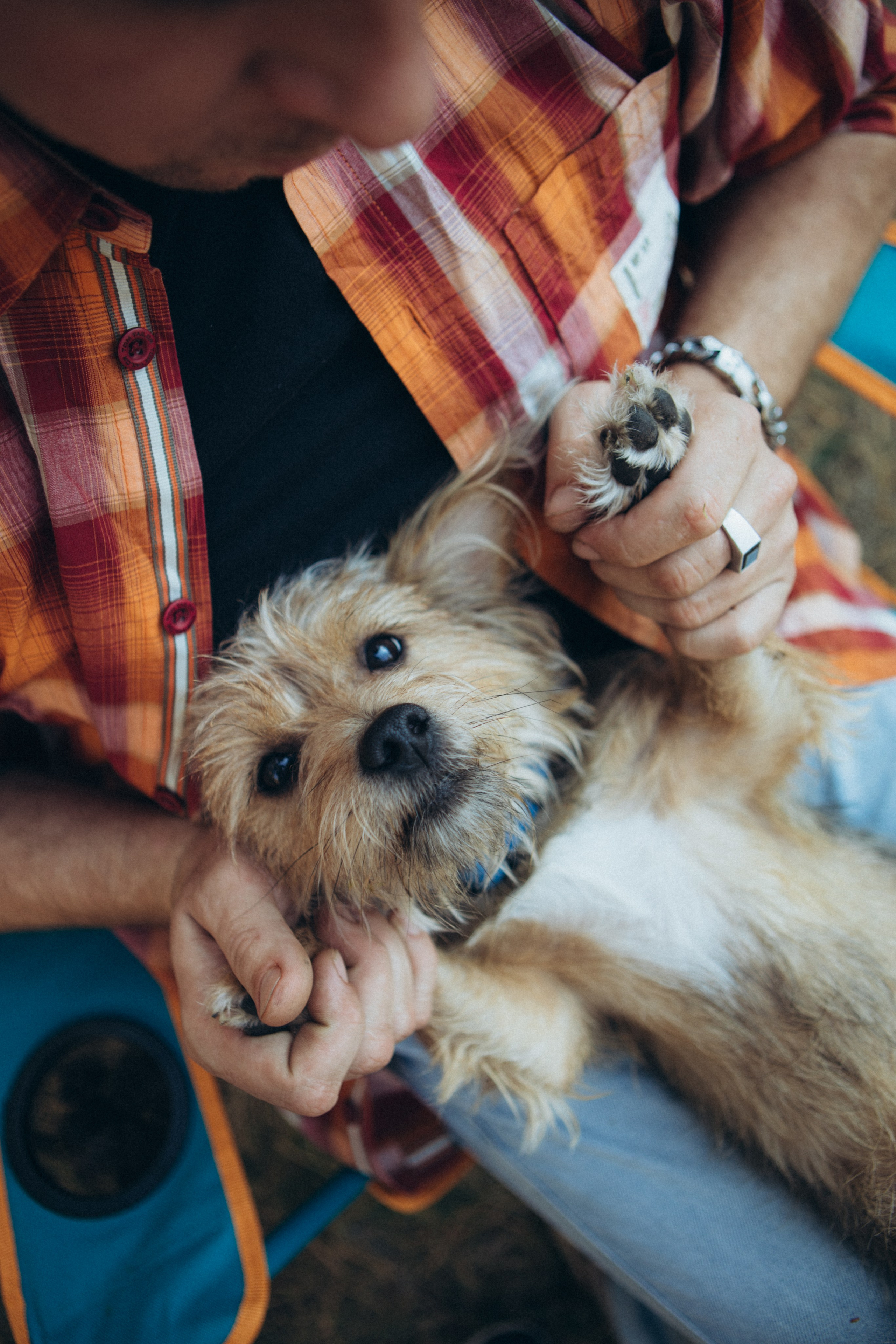Лес. Семейный и репортажный фотограф в Орле