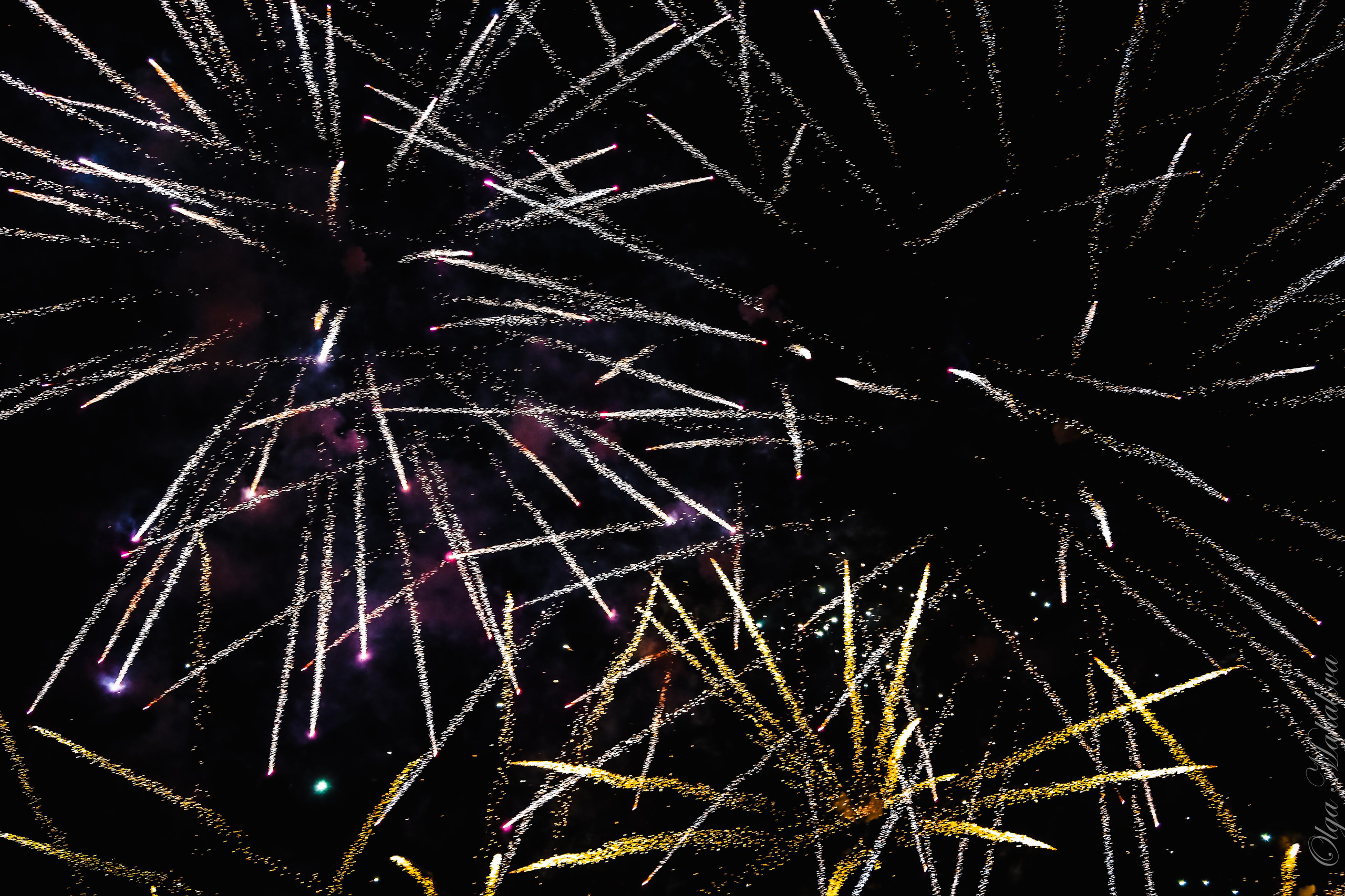 Григорий Лепс, день города Домодедово. Фотограф Ольга Махалова — Санкт-Петербург, Москва, Нижний Новгород