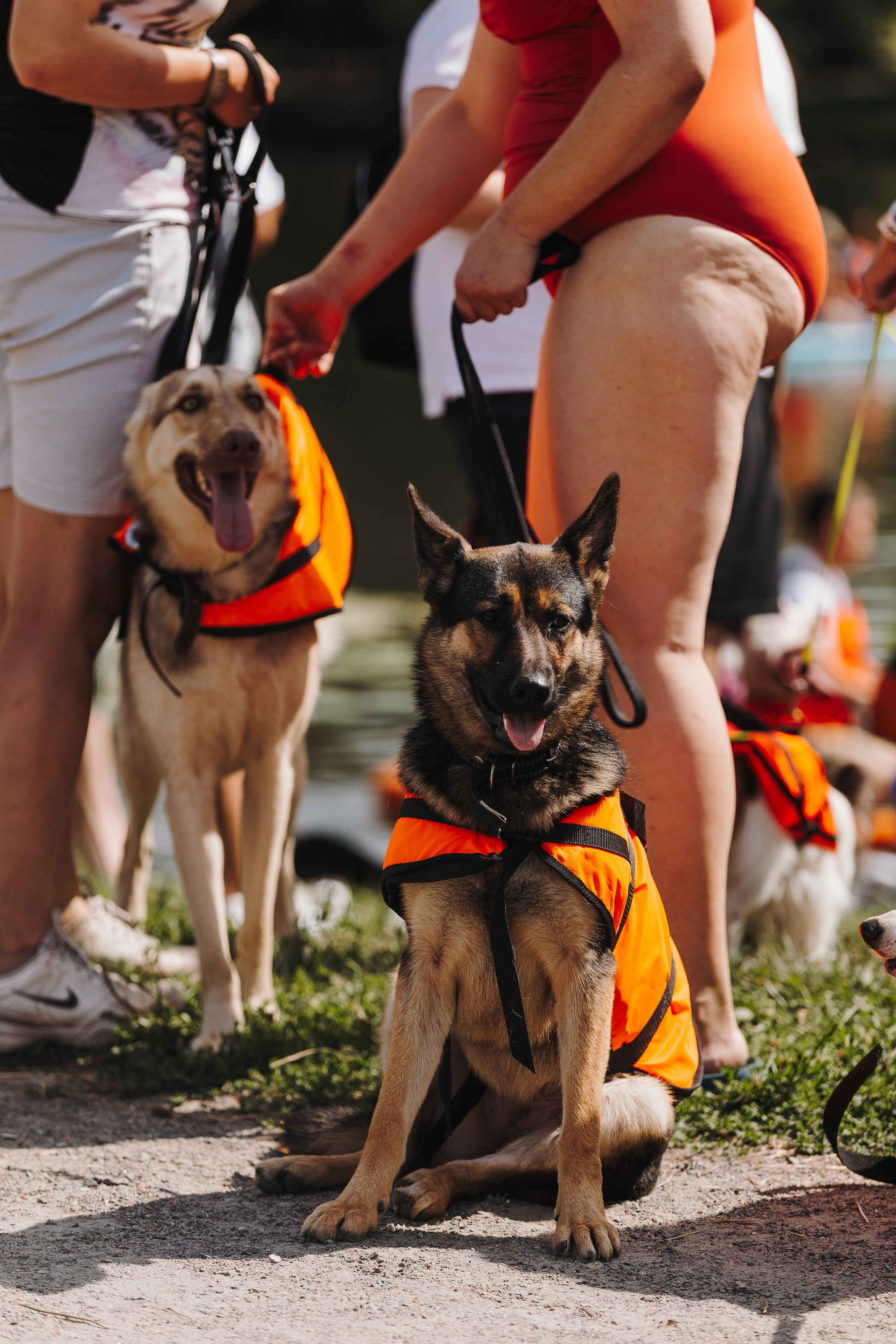 Petshop Sup day. Фотограф анималист Кристина Карпова, Москва