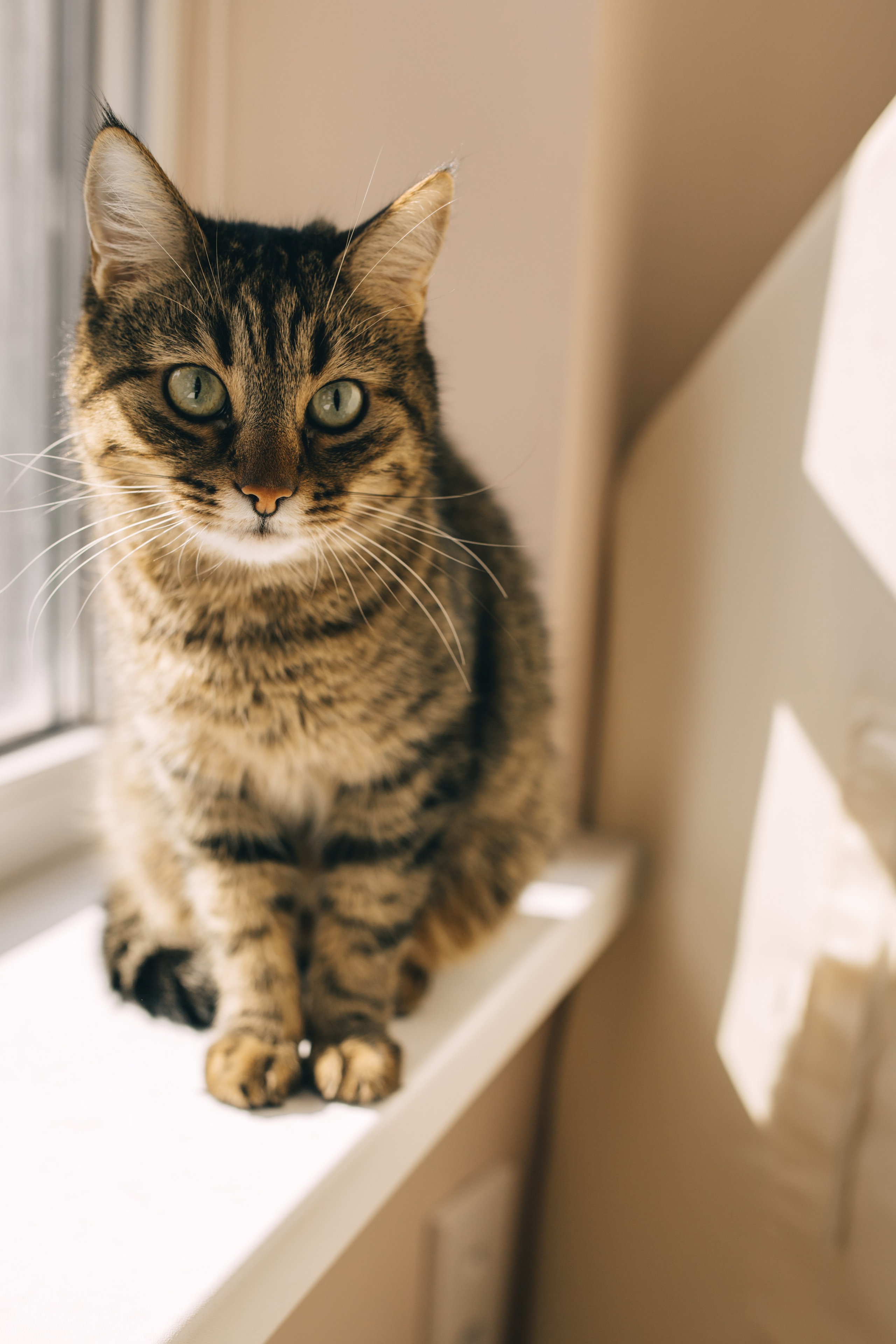 Там где уютно и тепло. Ваш семейный фотограф в Москве и Московской области