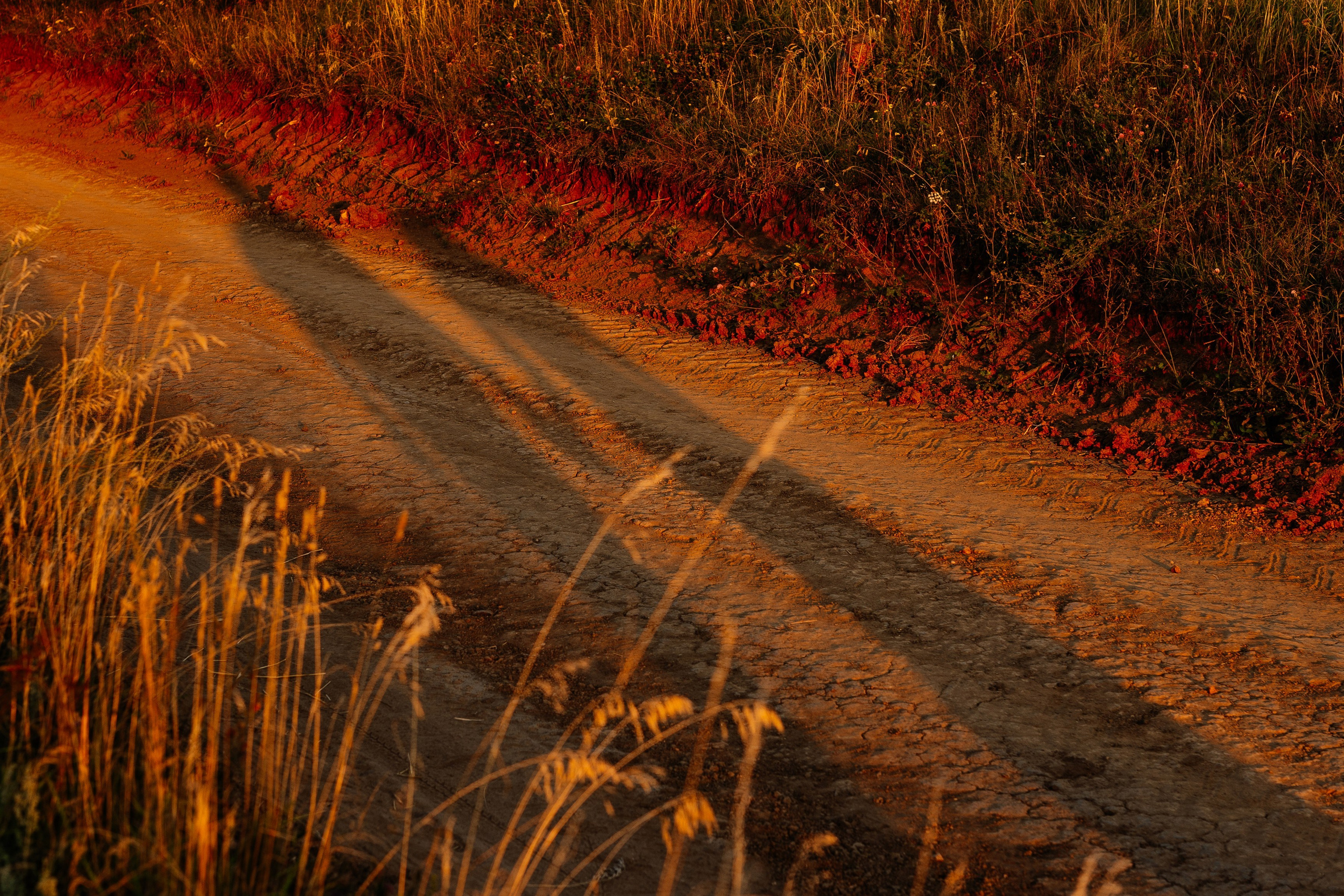 Фотосессия на закате на фоне природы для Инны и Максима. Свадебный фотограф в Тамбове Павел Четвертков