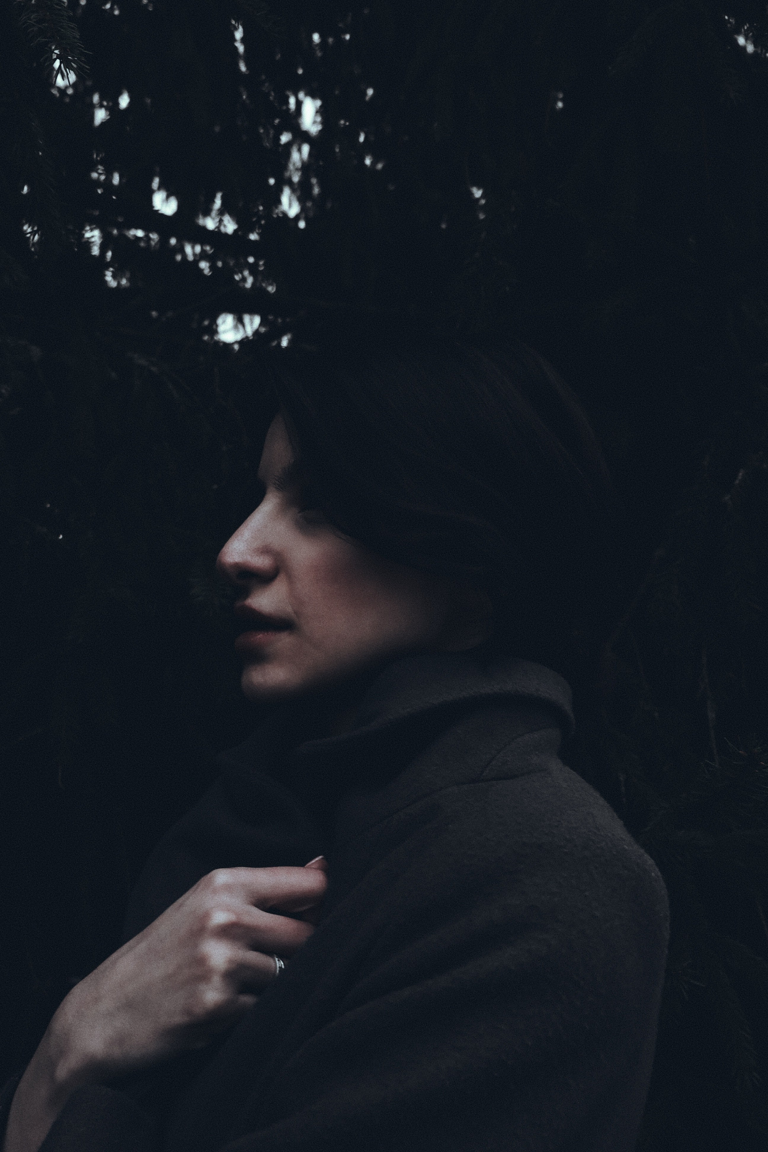 Тишина в тонах зимы. Ваагн Малхасян | Фотограф | Санкт-Петербург. Создаю атмосферные кадры