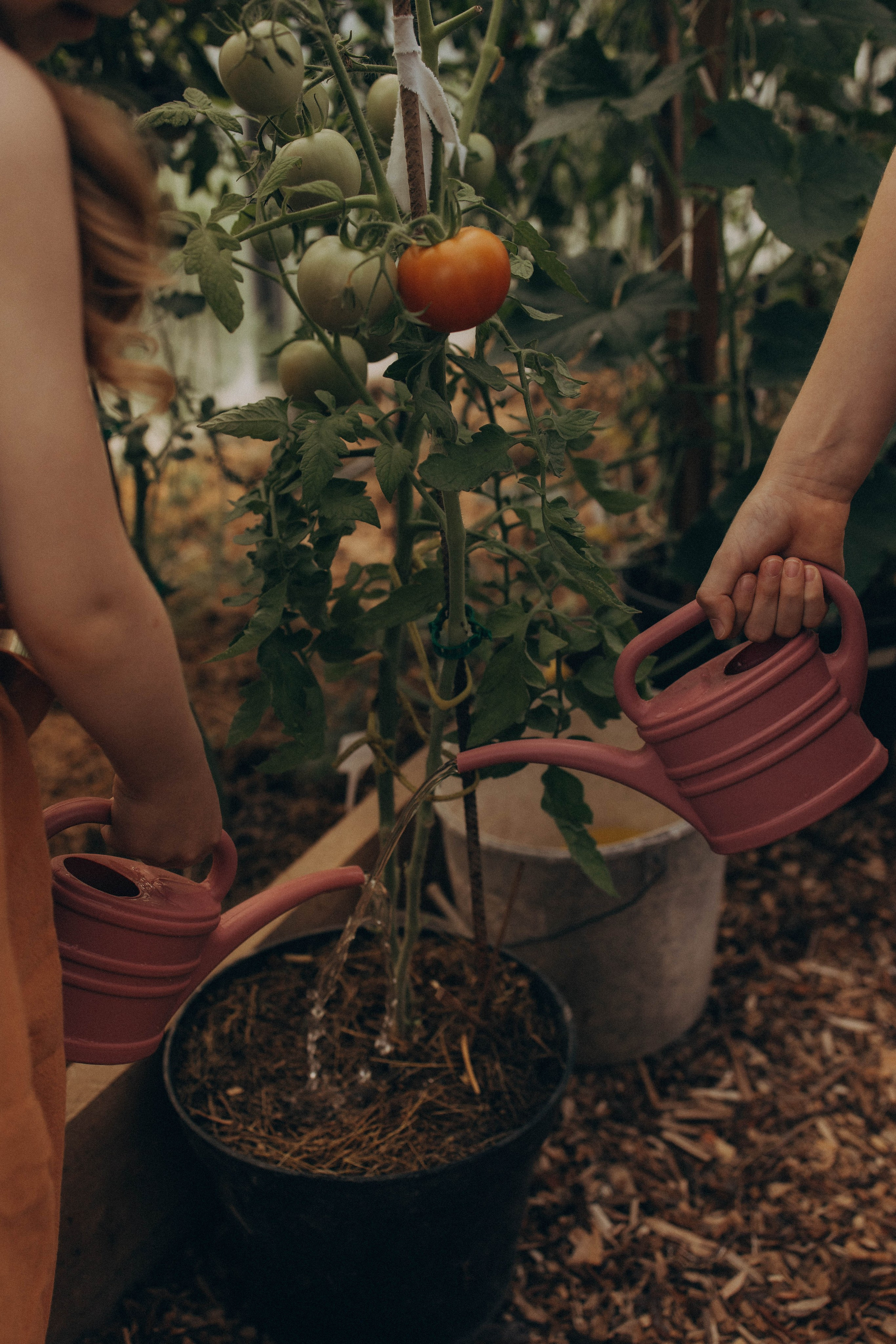 Одним летним днем. Фотограф lifestylе в Москве Пшеничная Анастасия