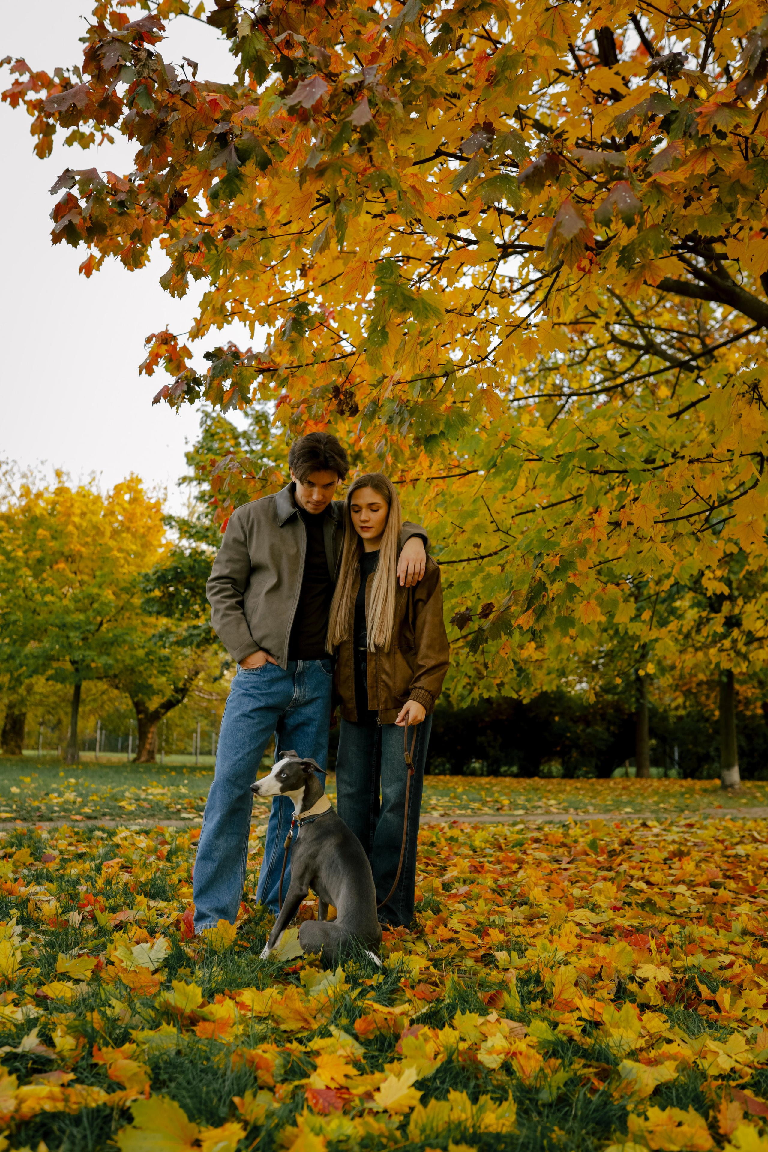 Первая осень Йотуна. Свадебный и семейный фотограф в Варшаве