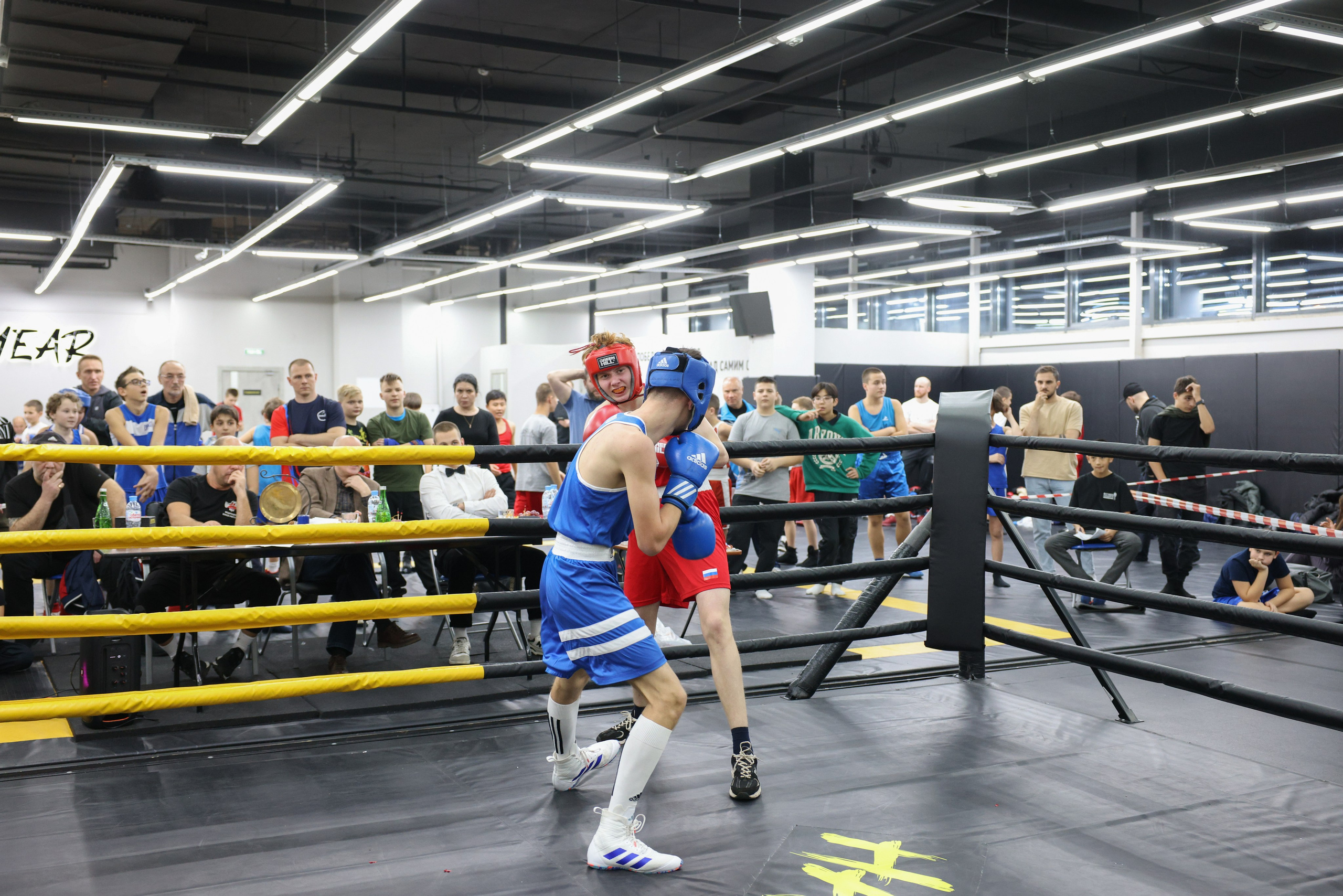 Открытый ринг «кубок ООО «ТЭК НеваСпецТяж». Фотограф Александр Заломаев