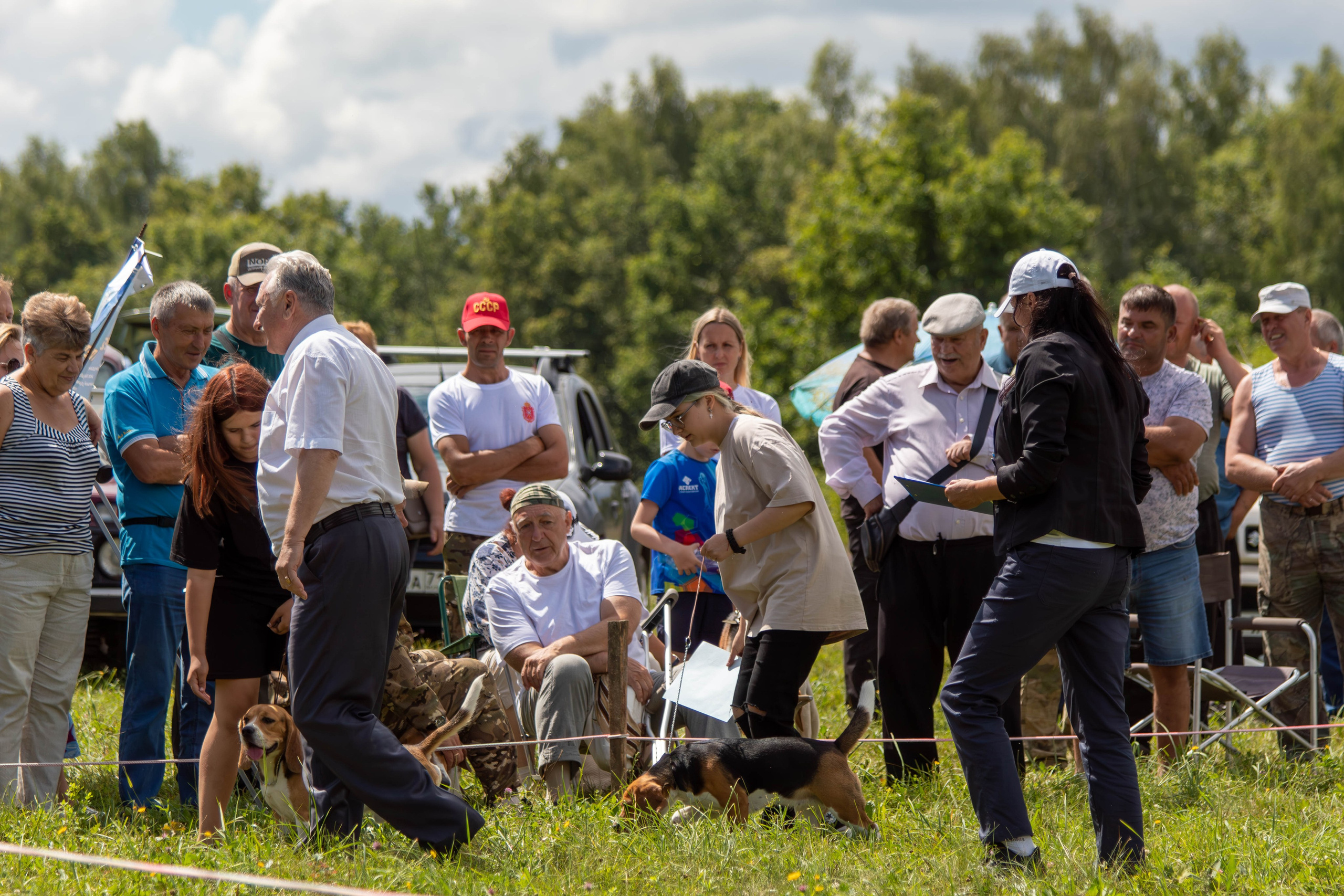 Репортажная съемка в Туле. Фотограф анималист — Тула, Москва