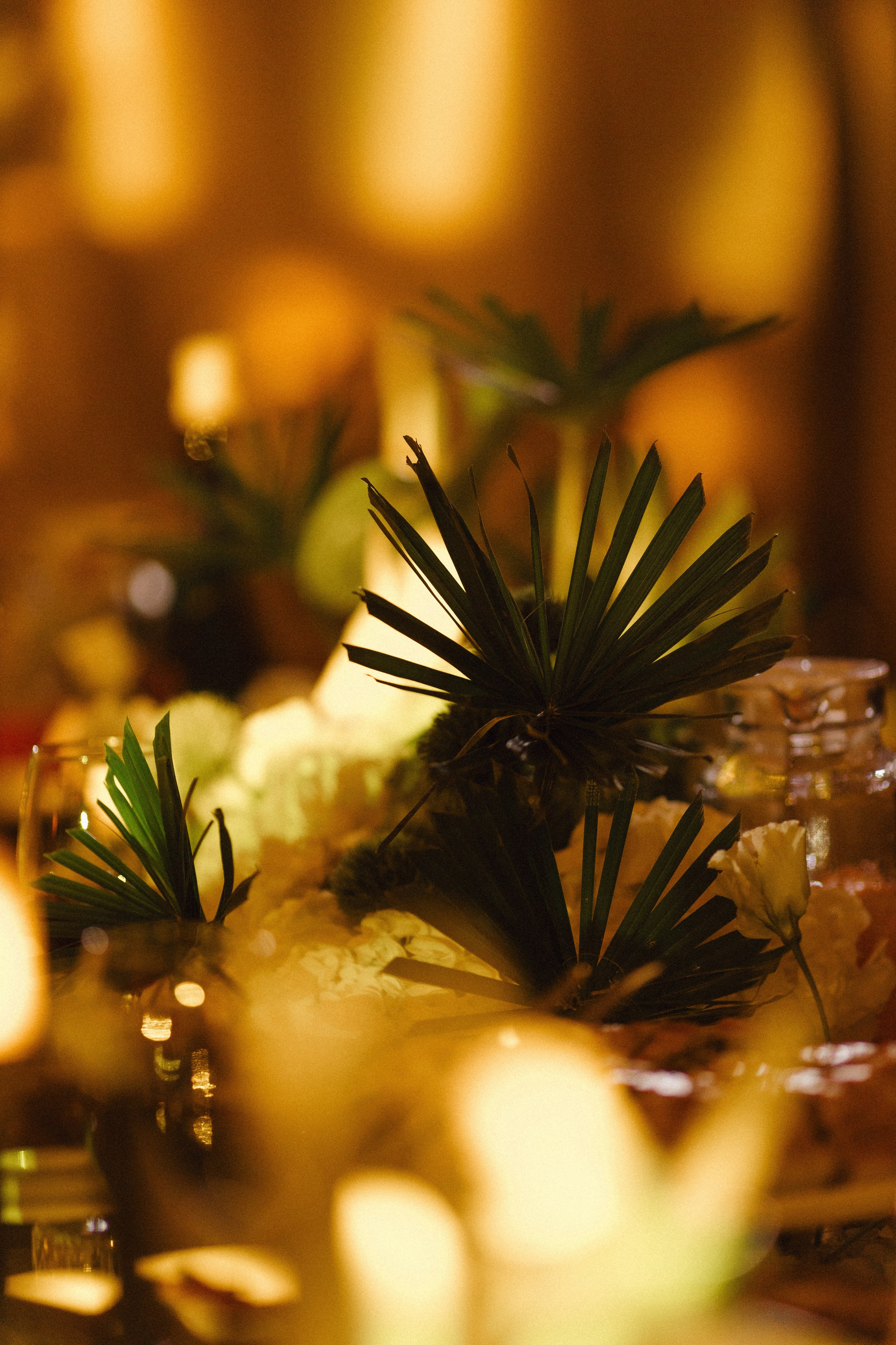 Лиза Илья. Свадебный и репортажный фотограф Новороссийск, Краснодар, Сочи Олеся Дзюба