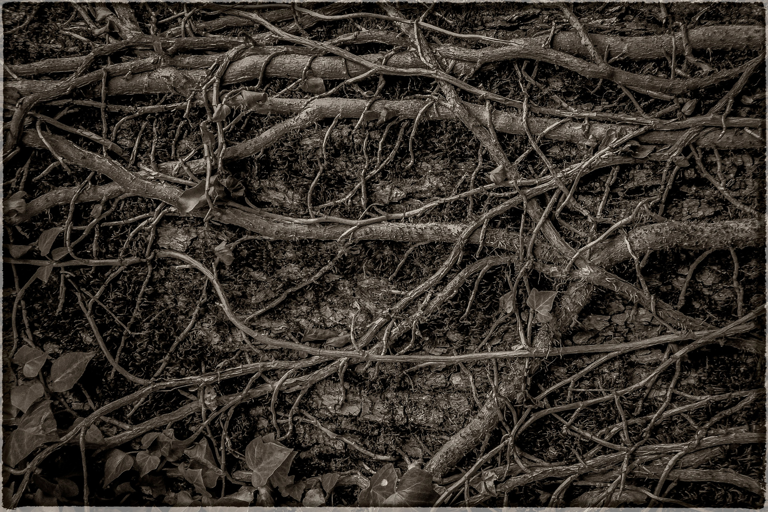 РЕКЛАМНЫЙ ФОТОГРАФ ИЗ МОСКВЫ ВИТАЛИЙ СТЕПАНОВ, FOTOSEP.RU