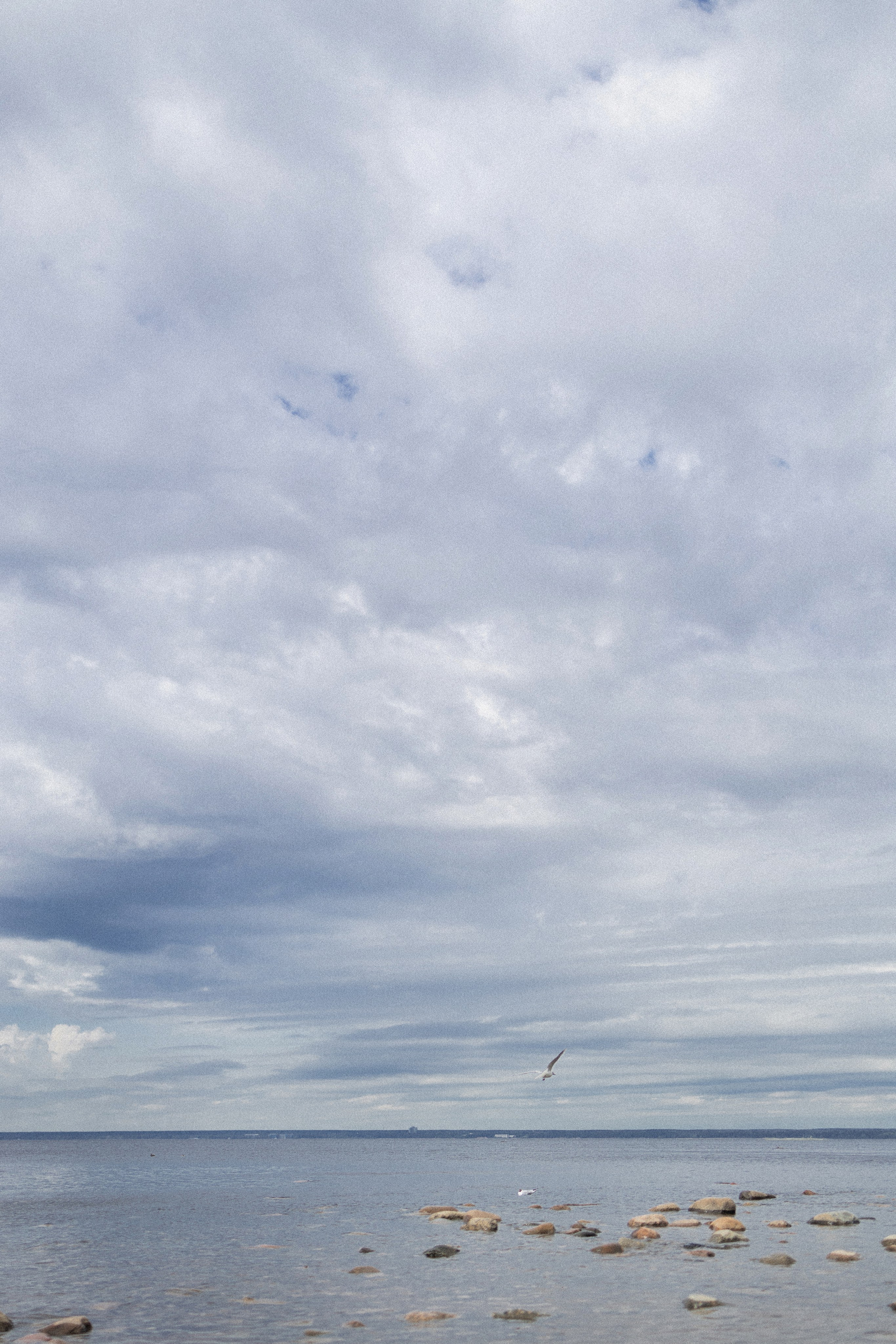 Эстетика П р о Я в л е н и я. Виноградова Маргарита. Фотограф P r o Явления