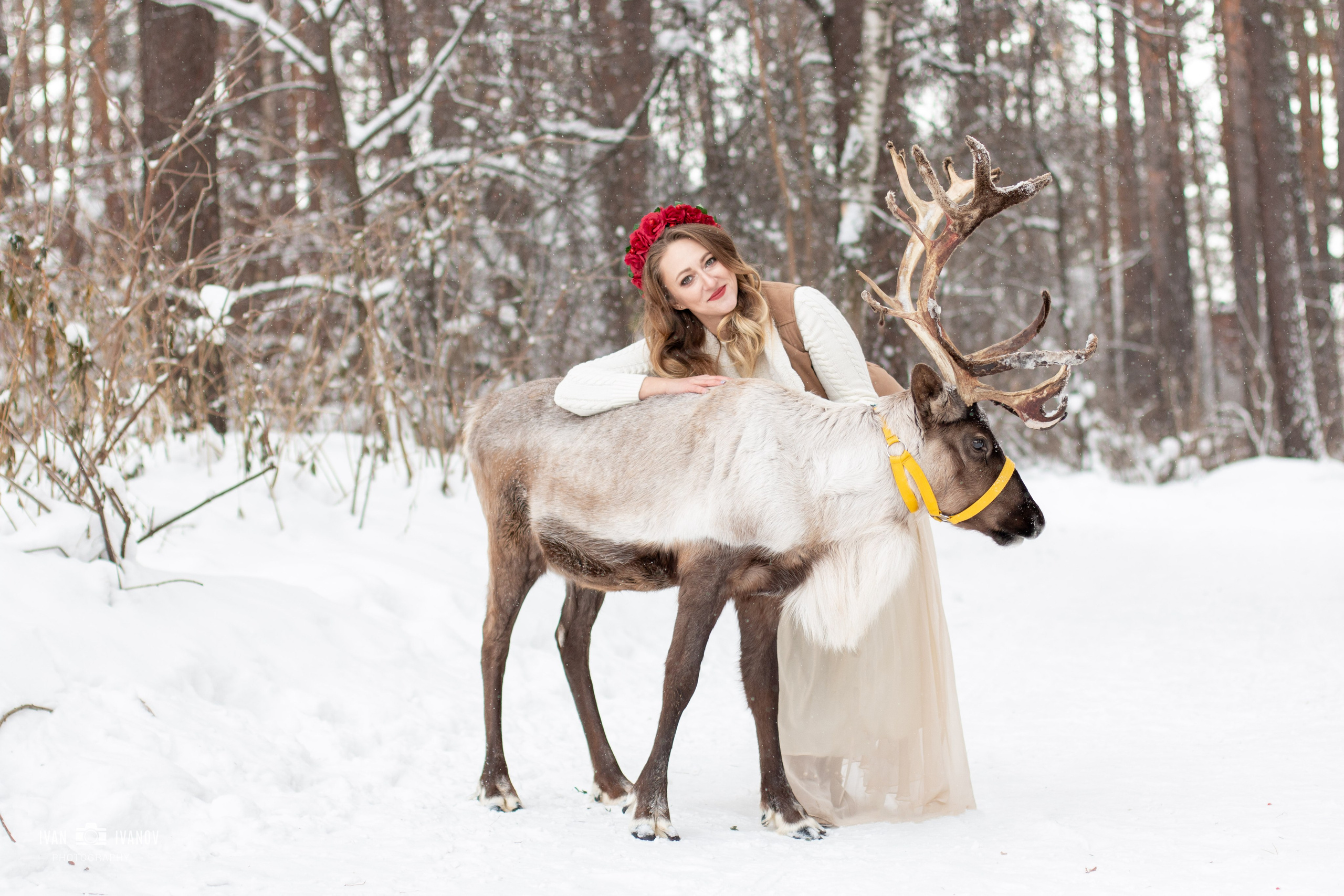 Фотосет с северным оленем. Свадебный и семейный фотограф в Новокузнецке Иван Иванов