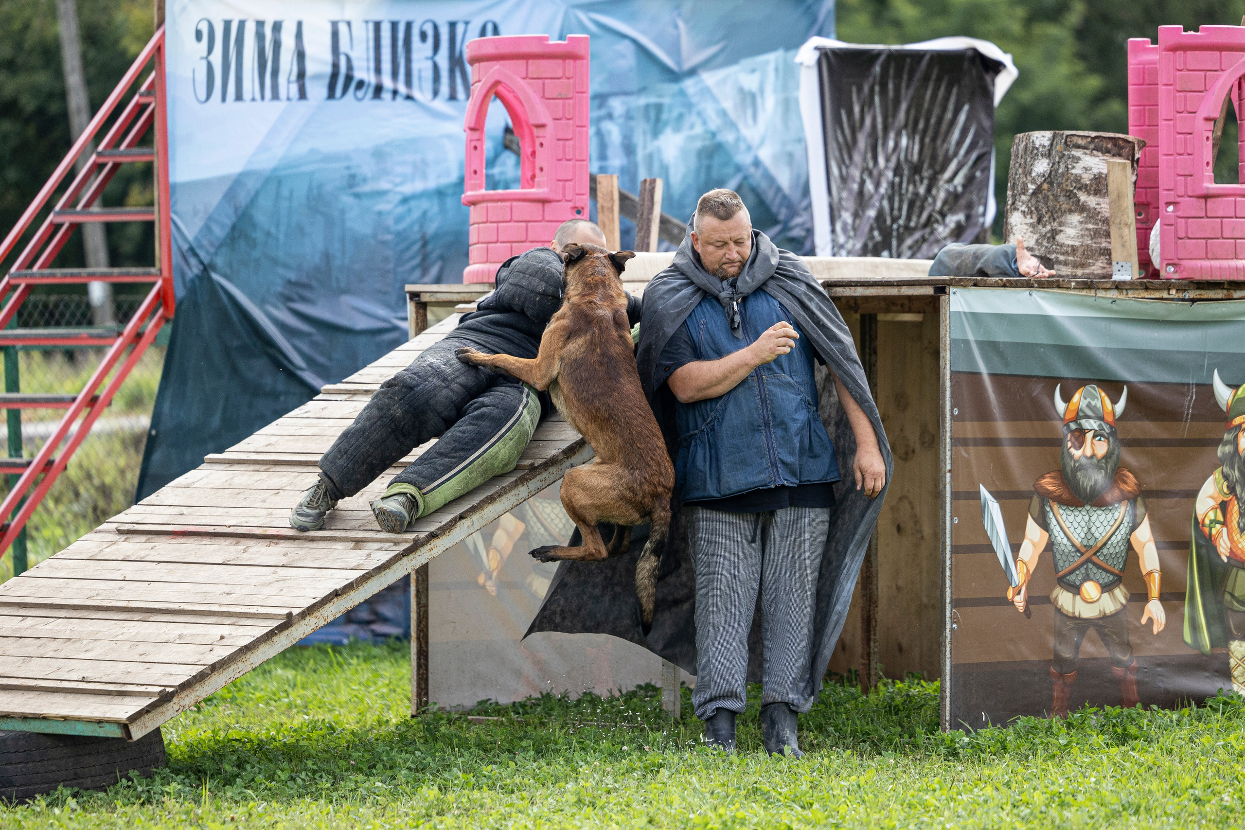 Соревнования по Мондьорингу г. Вологда 10-11.08.2024. Фотограф-анималист Анна Маринич