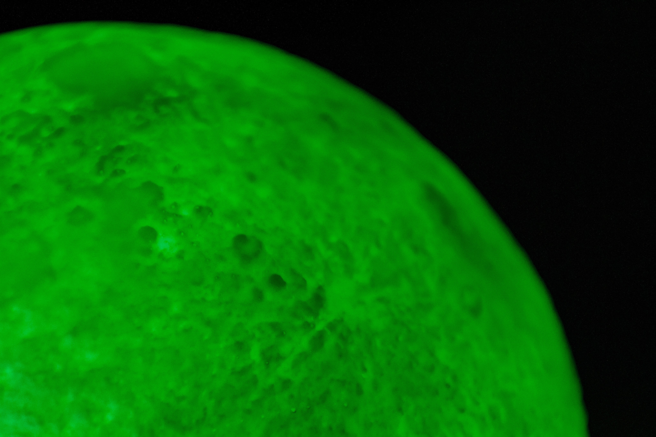 Ночь музеев в Екатеринбургской академии современного искусства2025