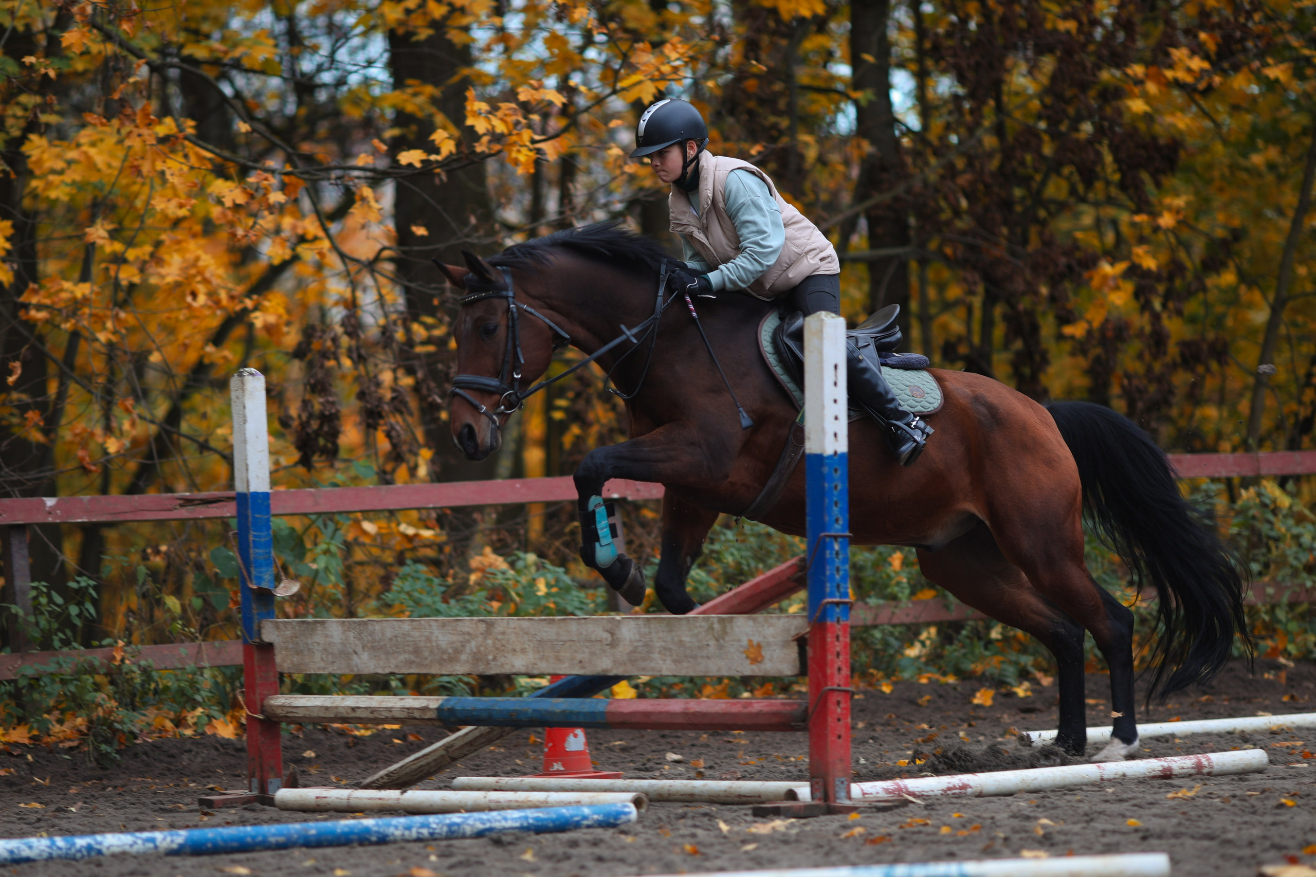Фотосессия с животными. Фотограф Алина Рошаль. С 2017 года ловлю эмоции и превращаю их в нежные воспоминания для вас в Москве и Подмосковье