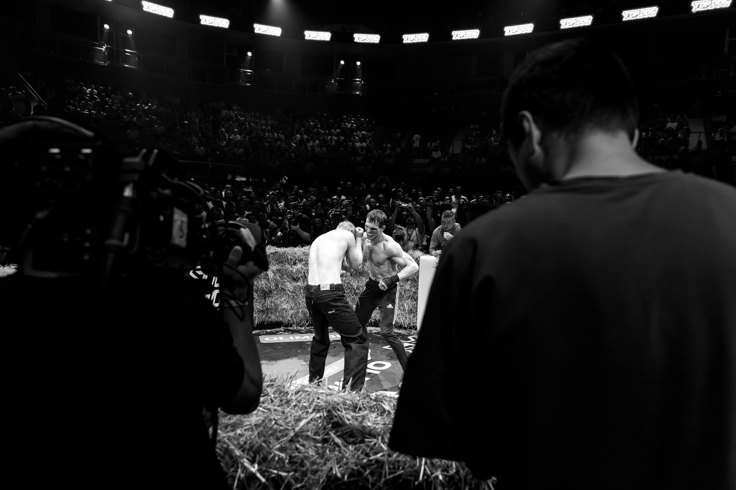 Olimpbet. TOP DOG FC. Репортажная съемка. Иван Косогорцев фотограф