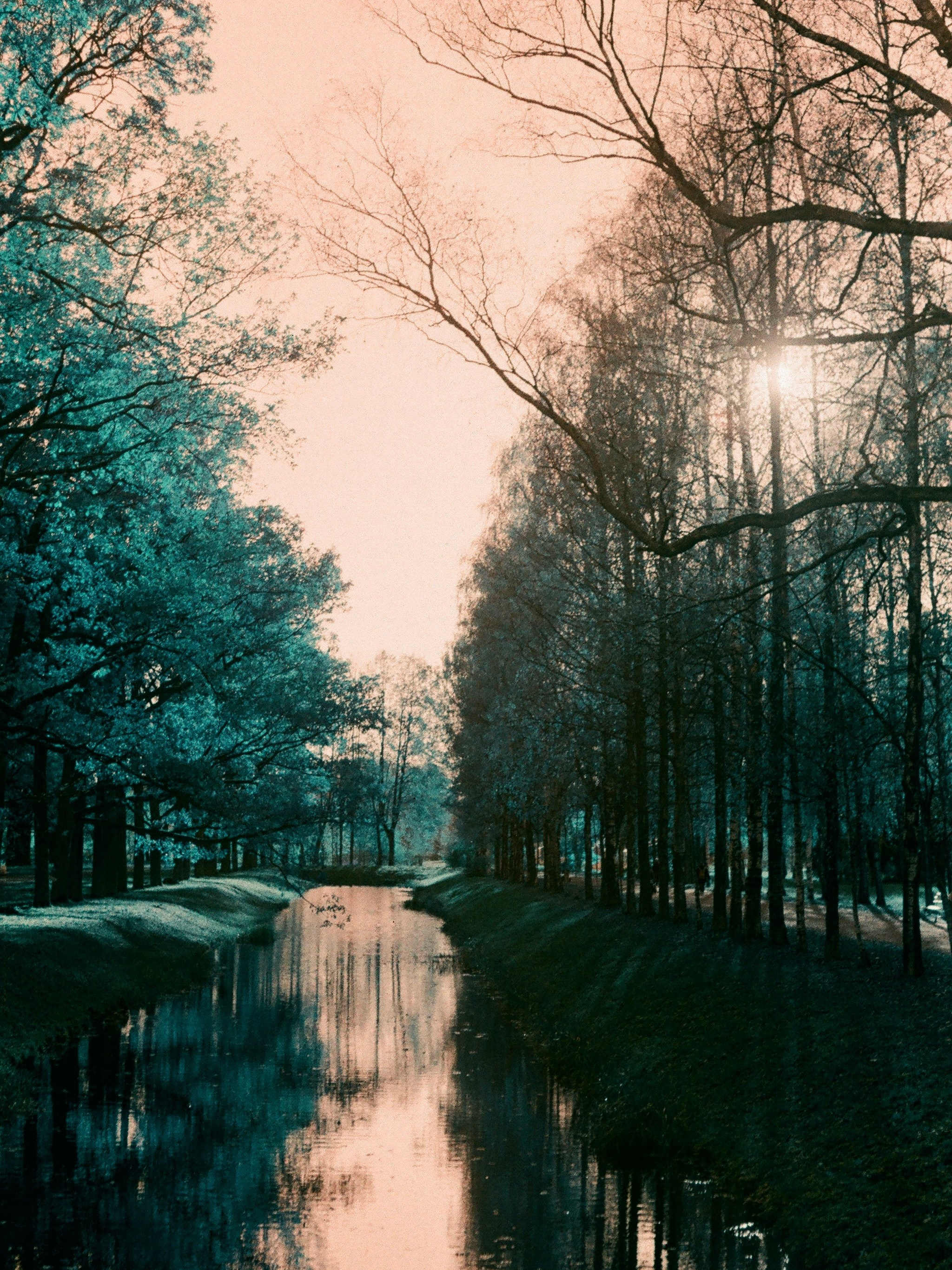 Натура. Фотограф — Маслеников Константин