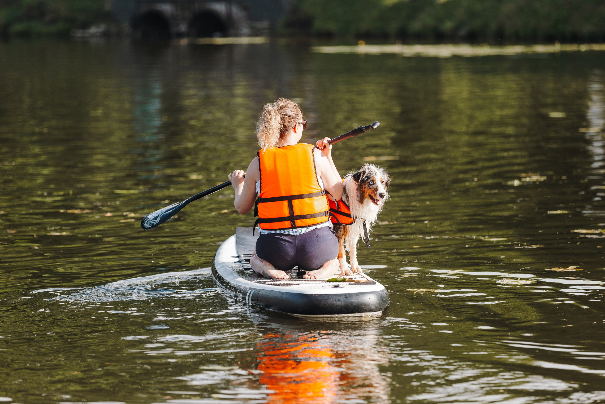 Petshop Sup day. Фотограф анималист Кристина Карпова, Москва