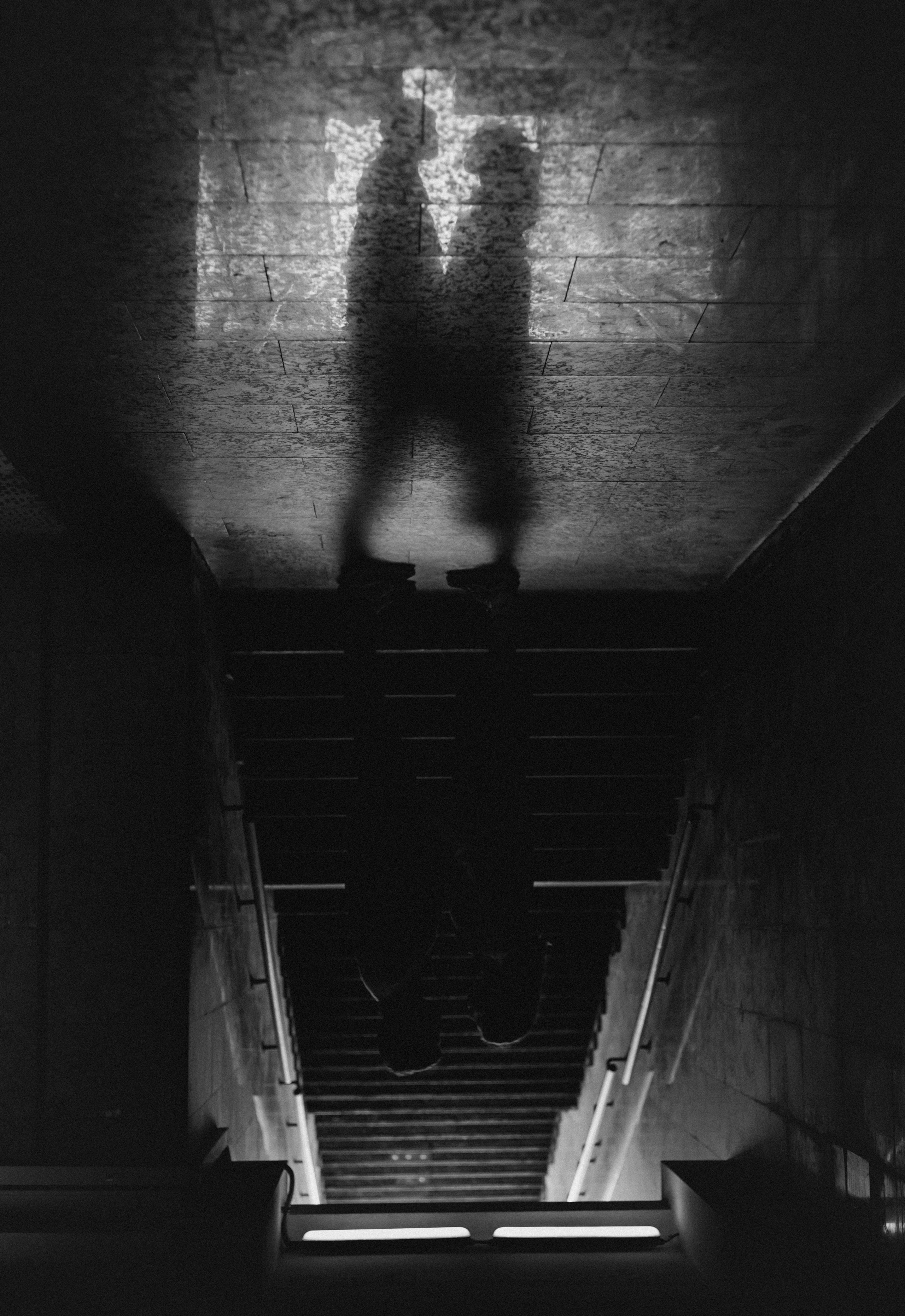 Прогулочная. Meryfotoidea