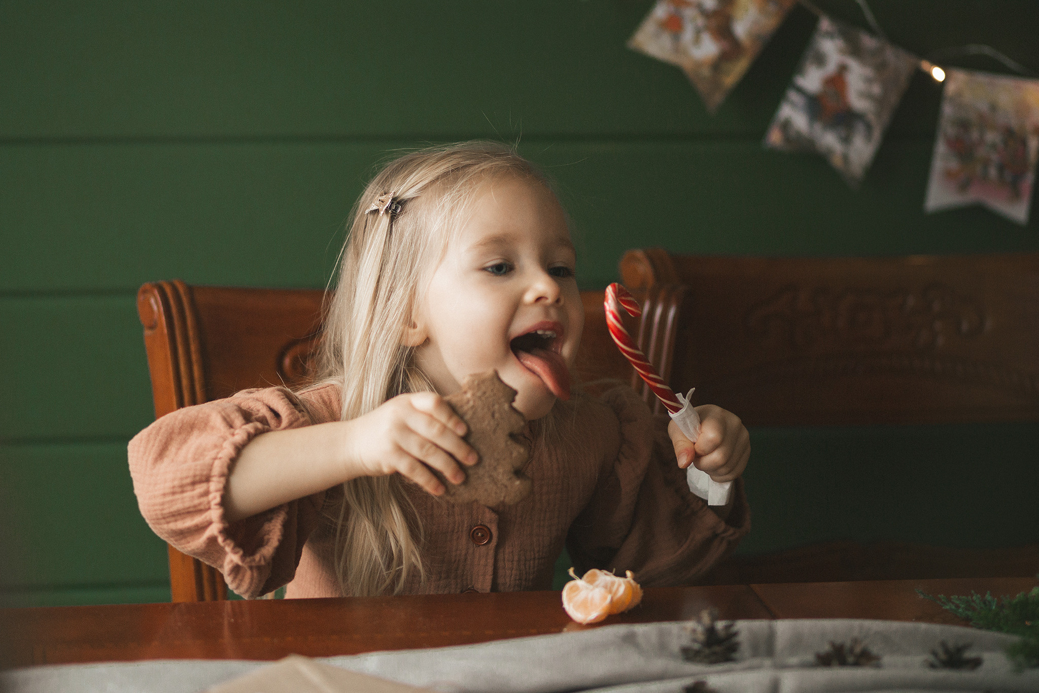 Новогодняя в загородном домике. Семейный фотограф в Москве Марина Петра