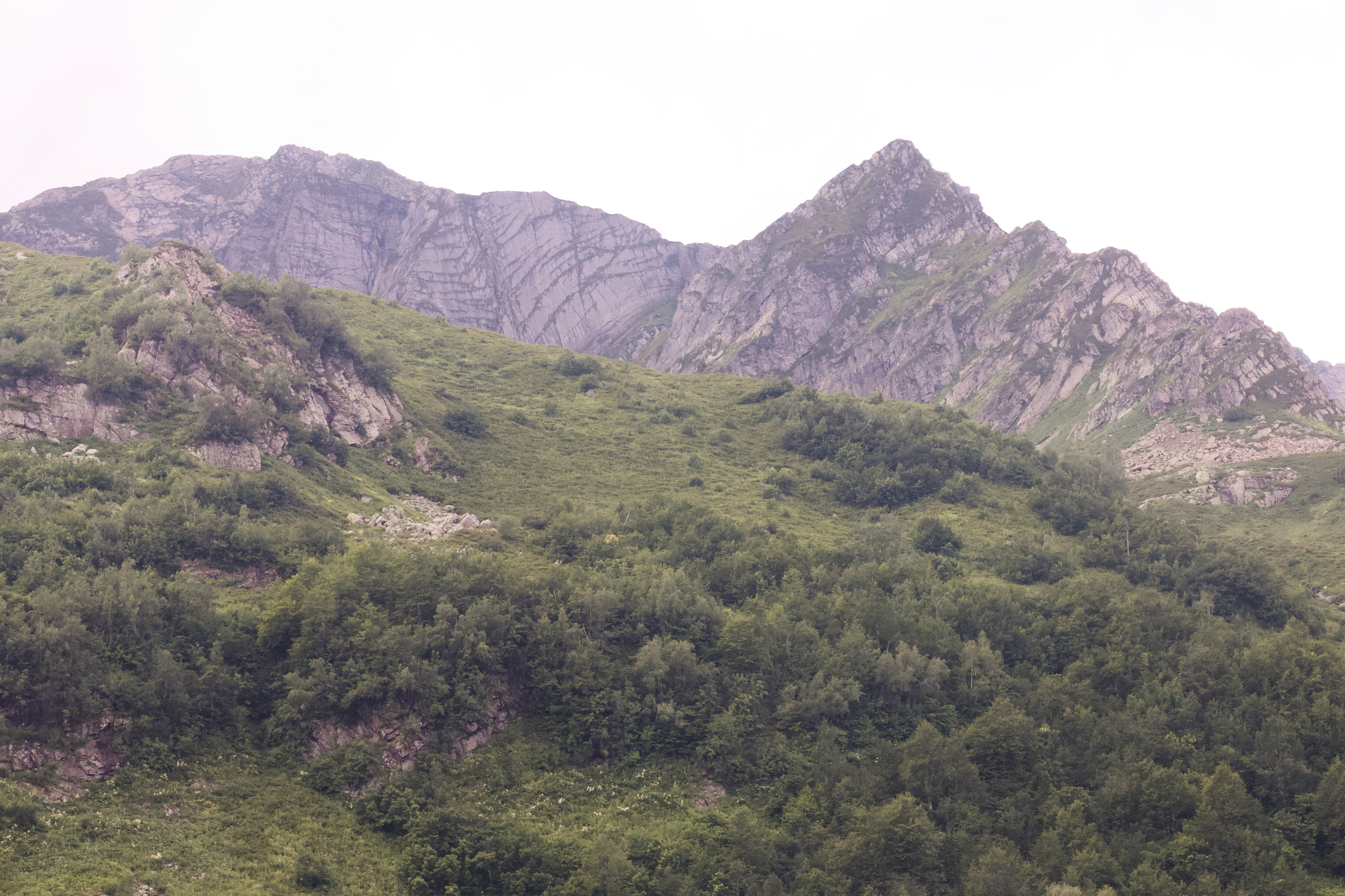 Абхазия. Школьные выпускные альбомы в Москве Марина Николаева
