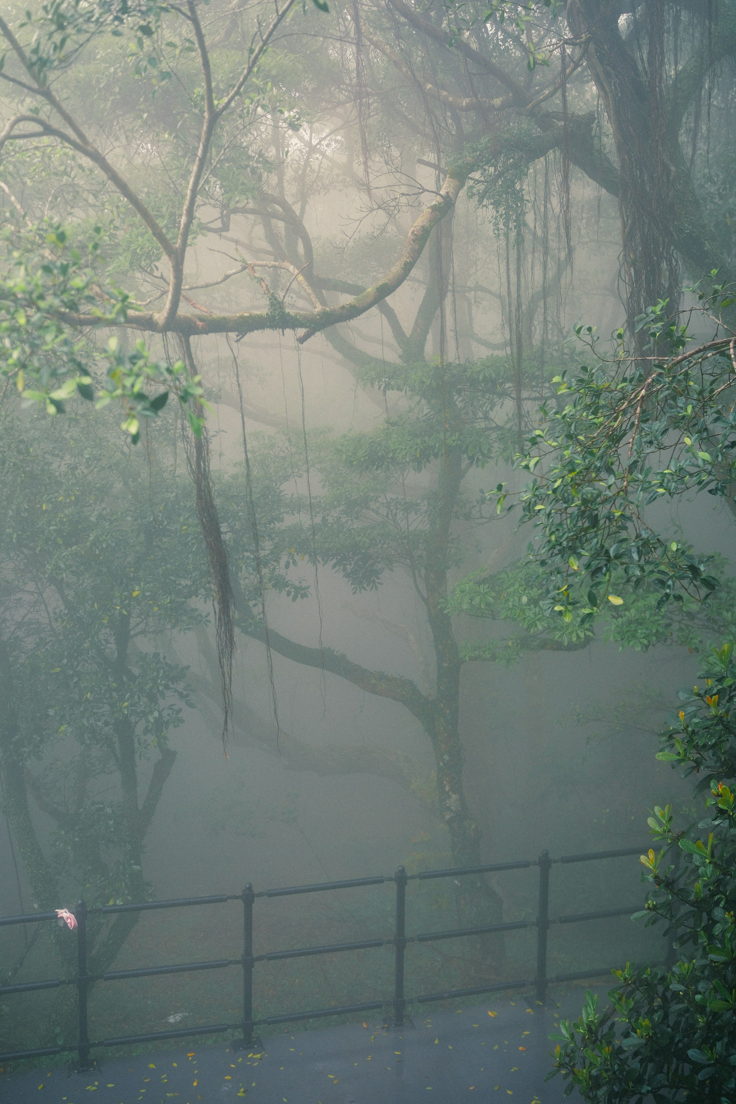 HongKong. Богдан Голубков — фотограф (notbogdang)