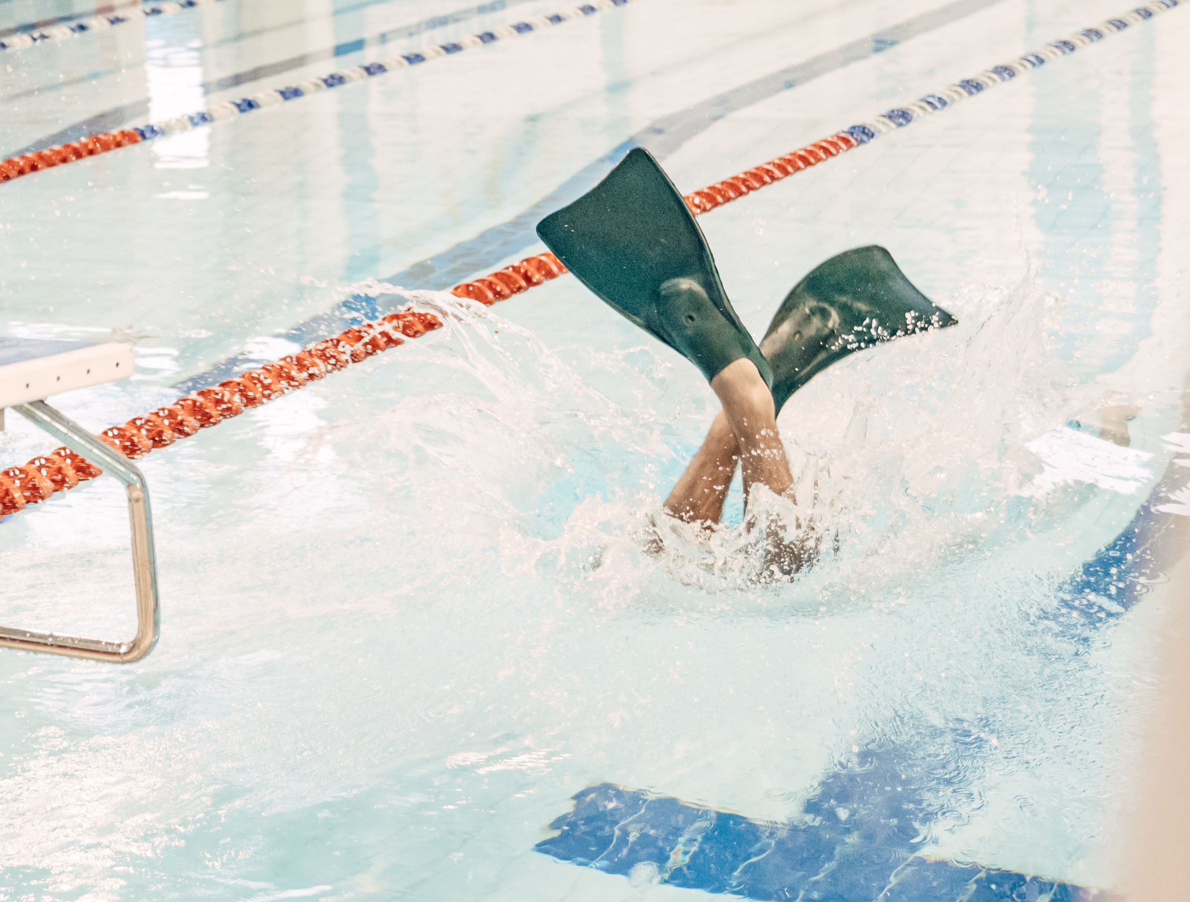 Турнир по&nbsp;плаванию. ШП&nbsp;Дельфин. 24.12.23