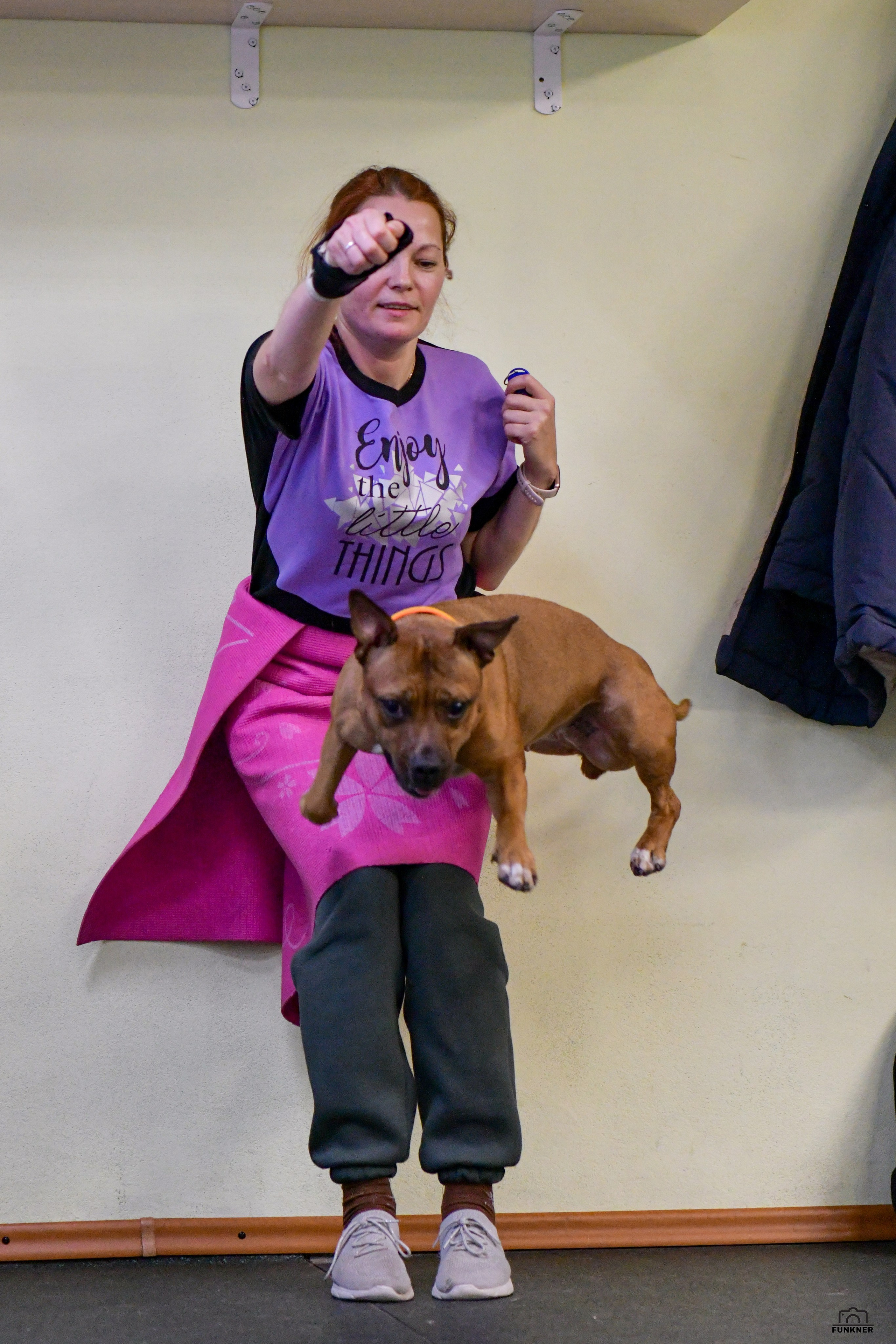 Кинологический клуб «Бодрый хвост». Свой взгляд через объектив