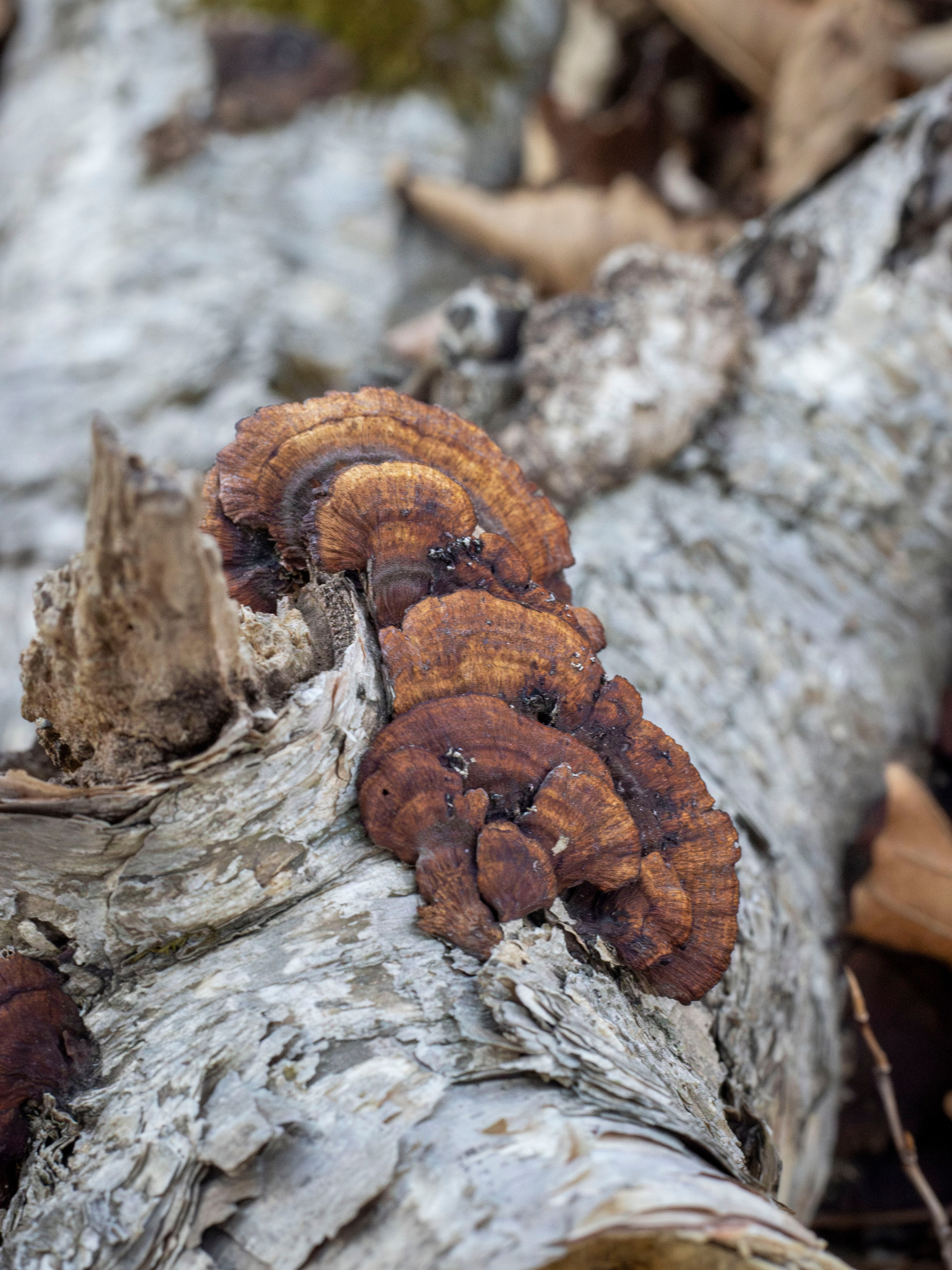 Пейзажи и Природа. Фотограф г. Владивосток