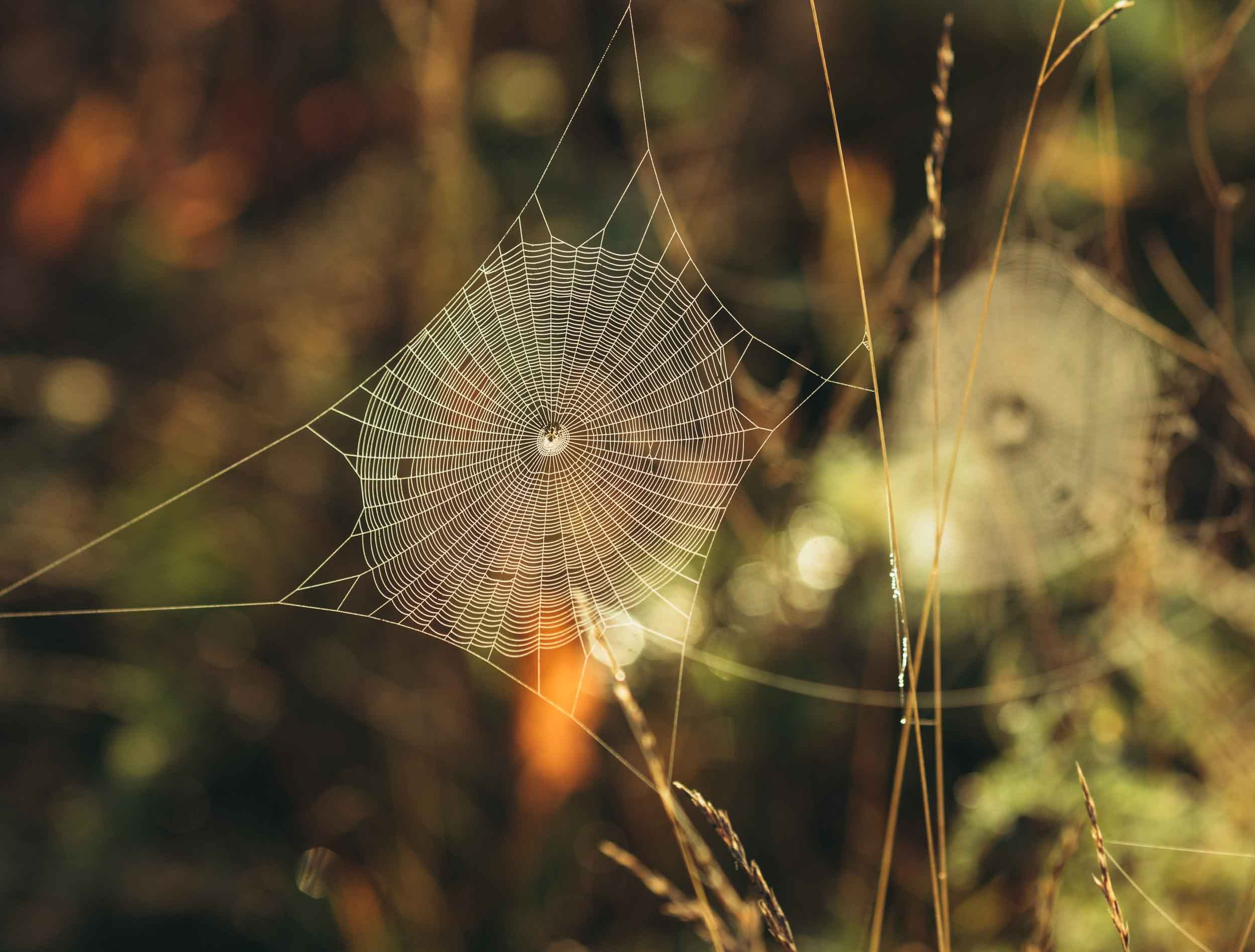 Природные пейзажи. Наталия Клевинскас портретный фотограф в Костроме