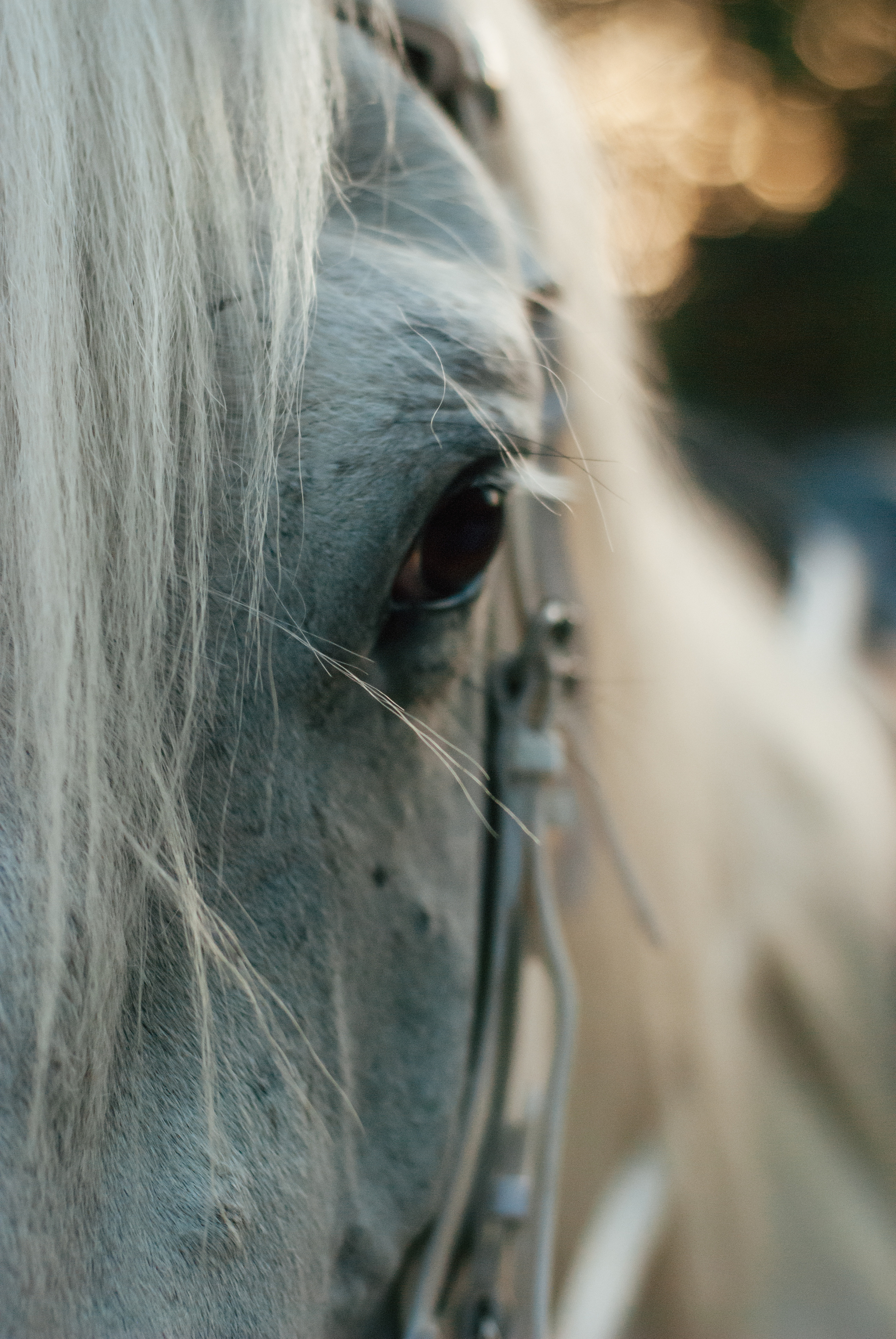 Отзывы. Ксения Чинчикеева. Фотограф Иркутск|Улан-Удэ