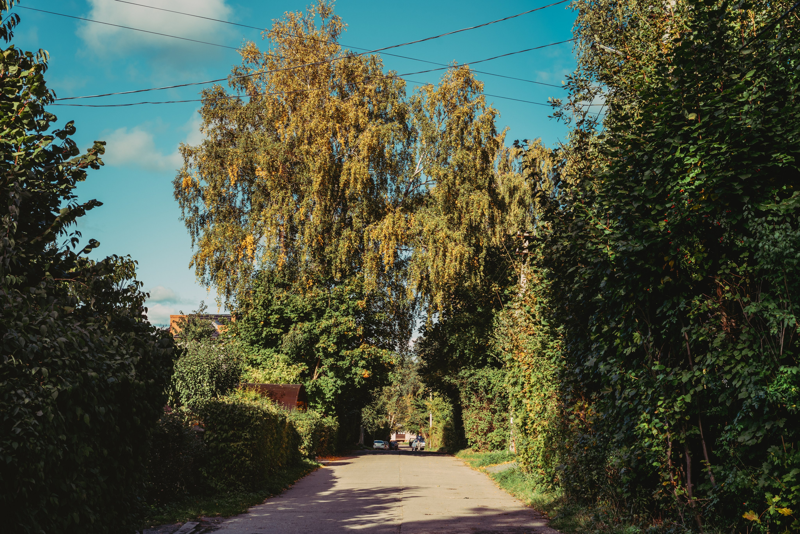 Калининград и его область: через объектив рекламного фотографа из Гуанчжо. Коммерческий и предметный фотограф в Гуанчжоу Коваленко Александр