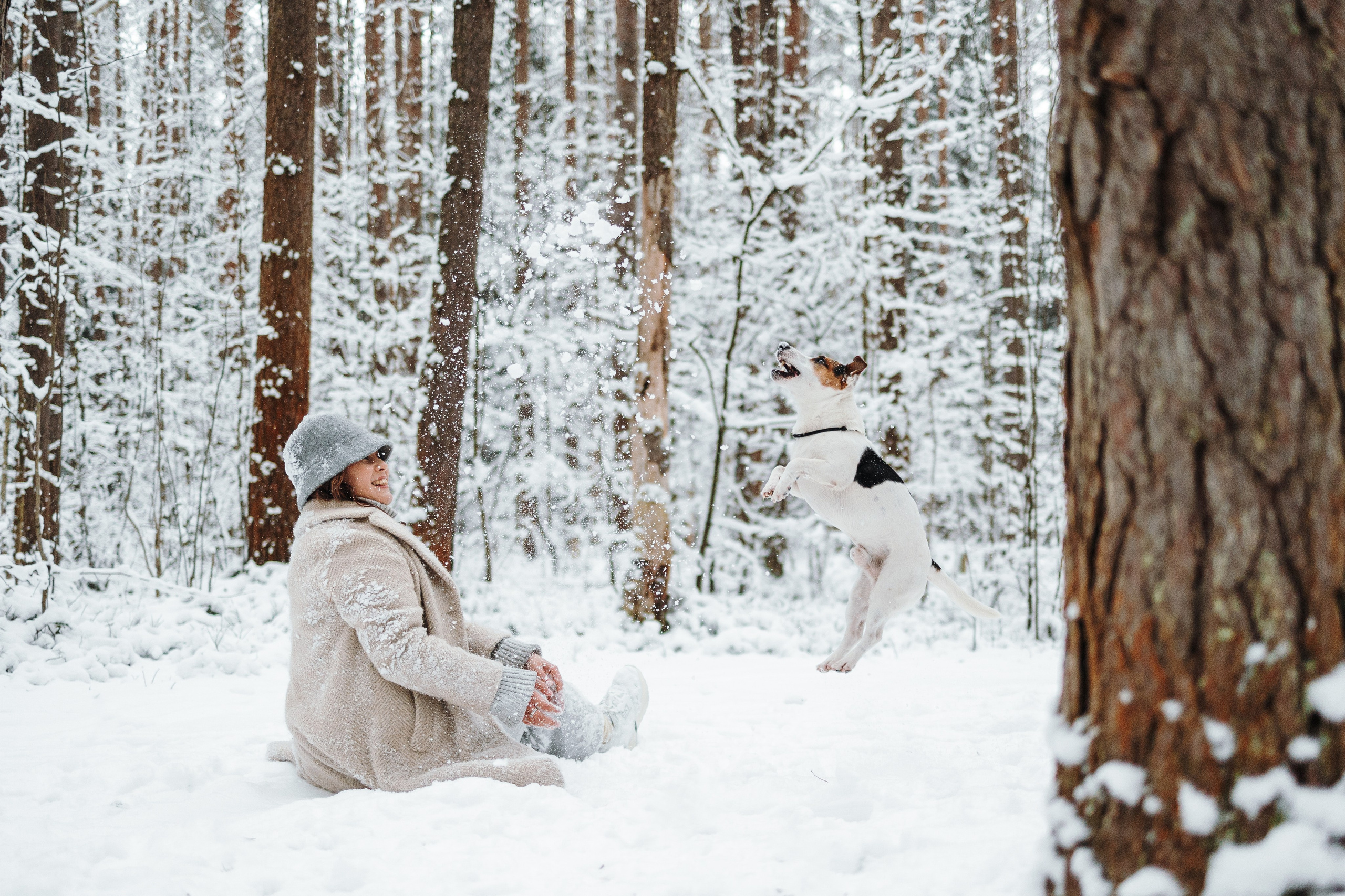Мики и его семья. Фотограф — Анималист | Санкт-Петербург