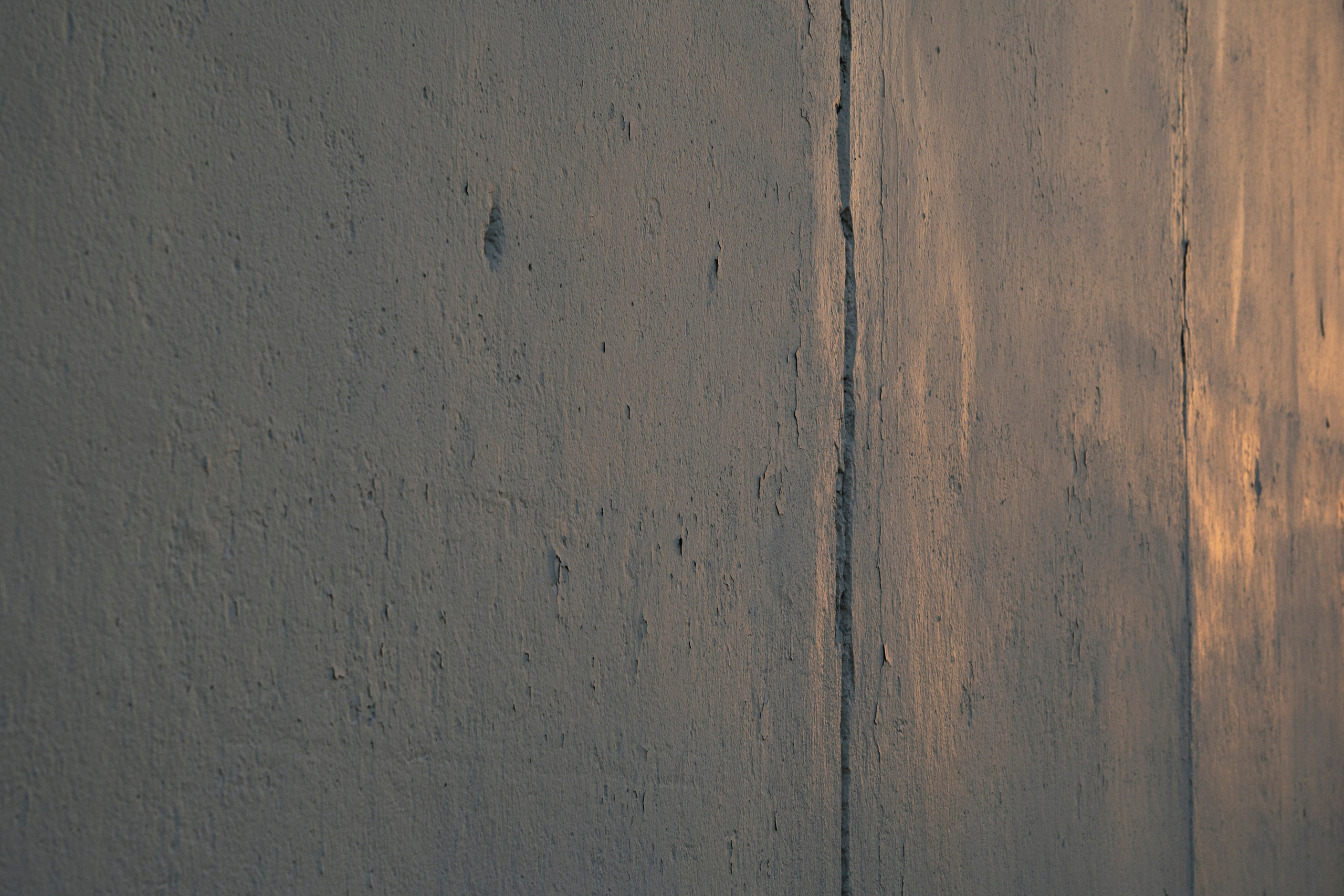 Разное неважное. Фотограф в Москве Алейникова Евгения