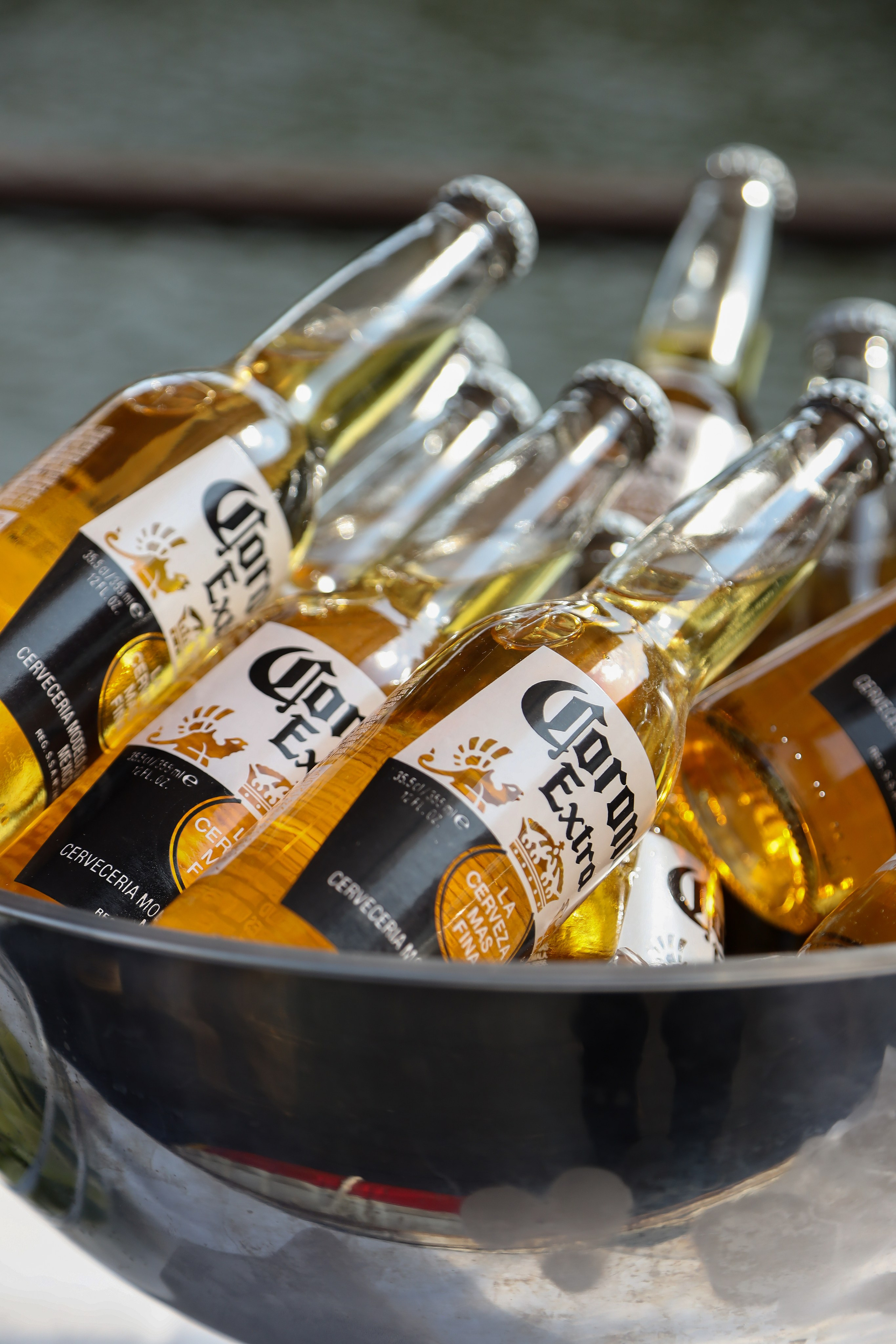 Летний корпоратив Arlight. Фотограф Антон Чупринин