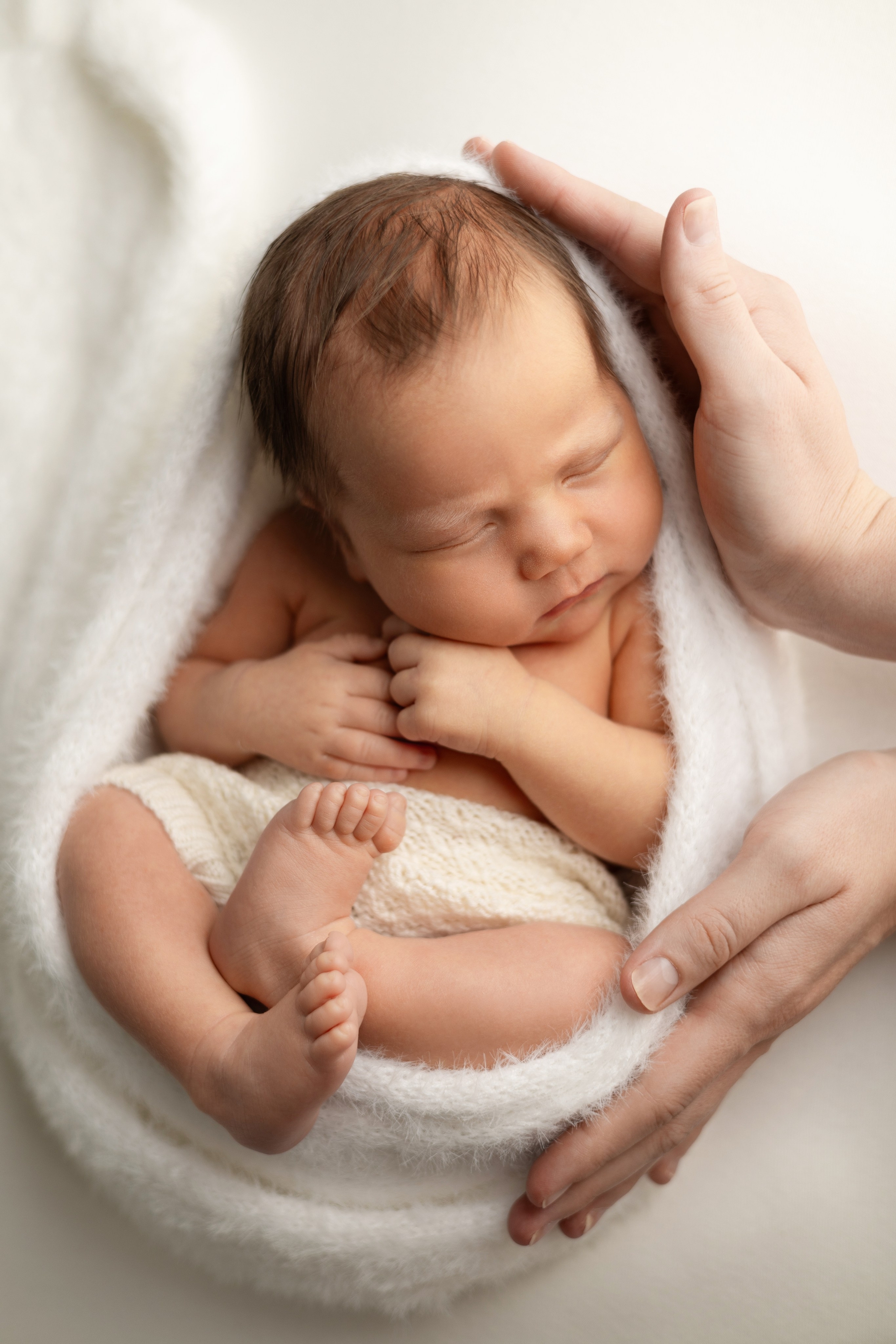 Лев. Лилия Алтухова — фотограф новорожденных в Москве и области