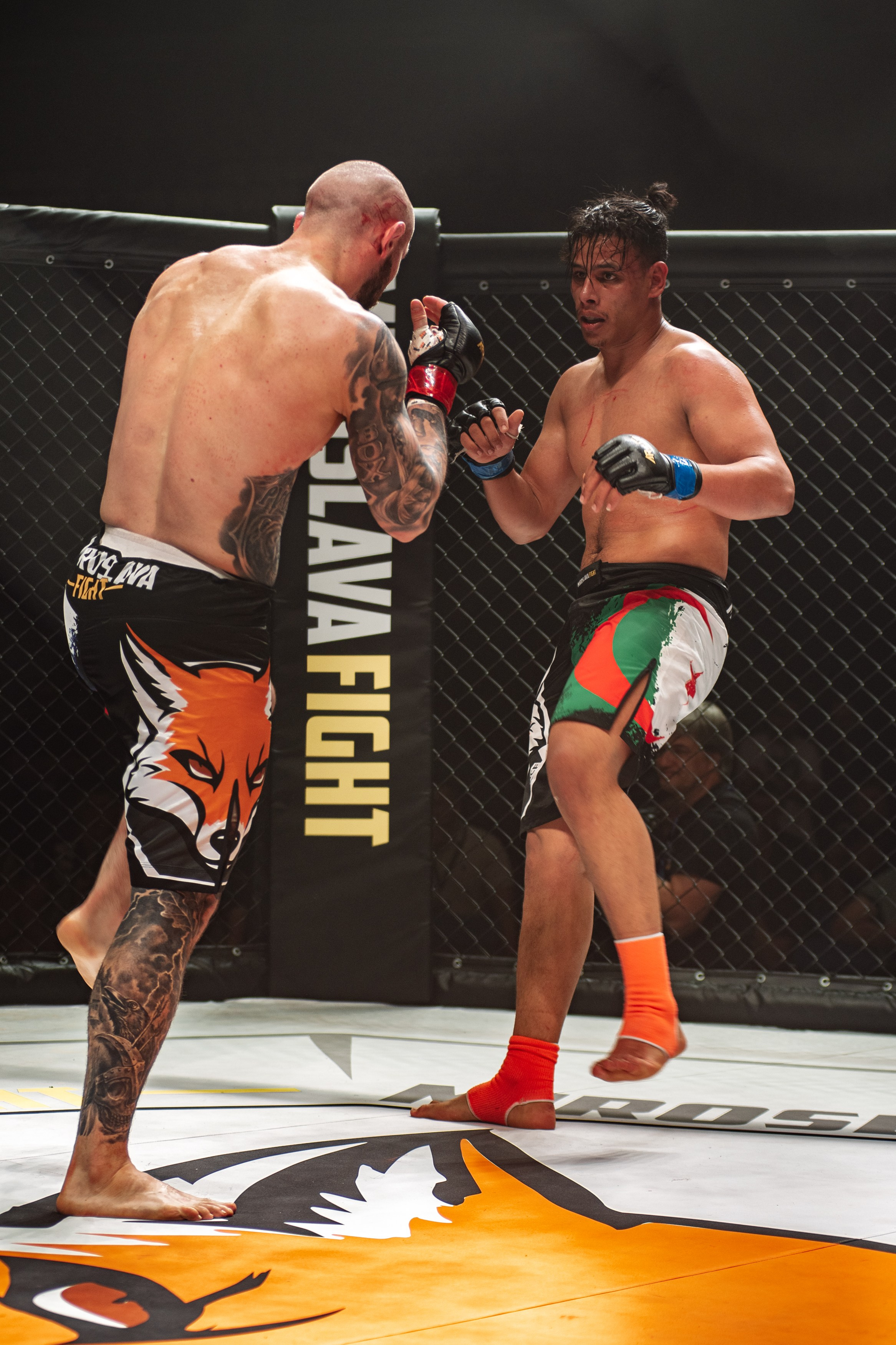 Miroslava Fight